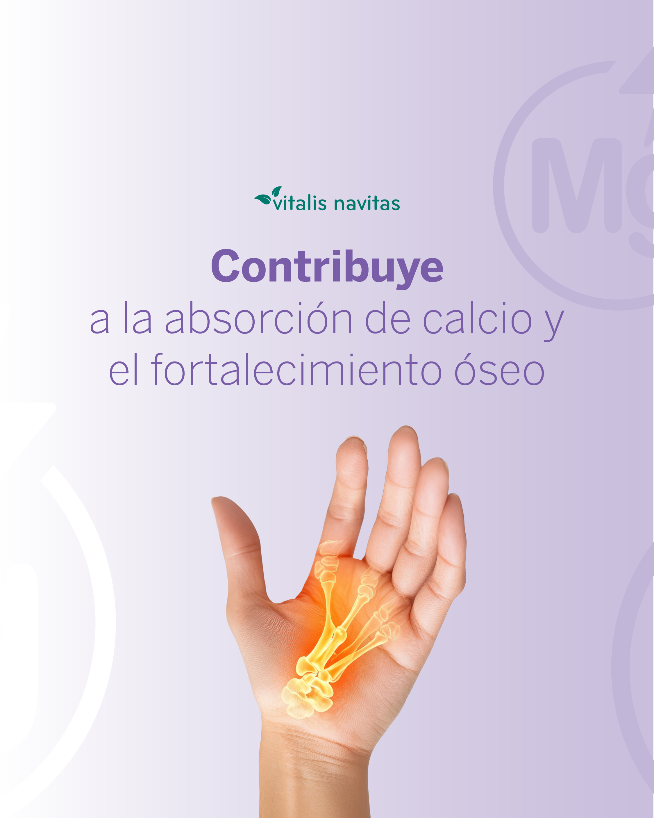 Citrato De Magnesio 60 Cápsulas Vitalis Navitas -6