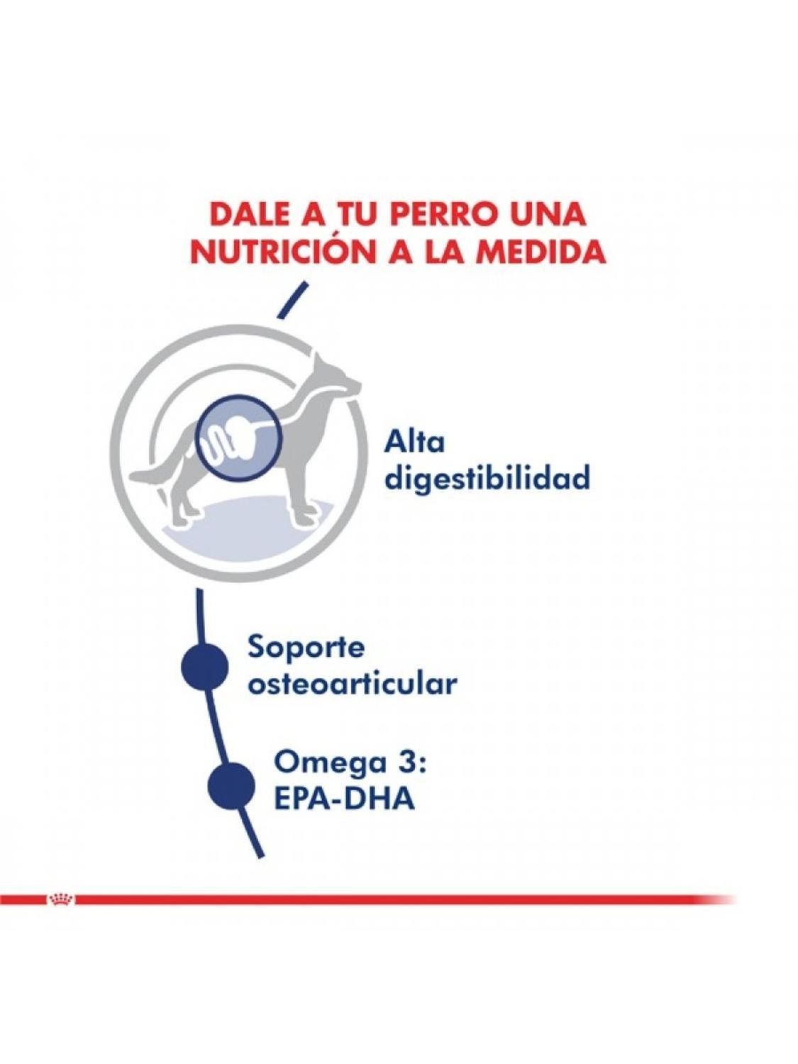 Royal Canin Maxi Adulto 12 kg | Perros de Raza Grande-2