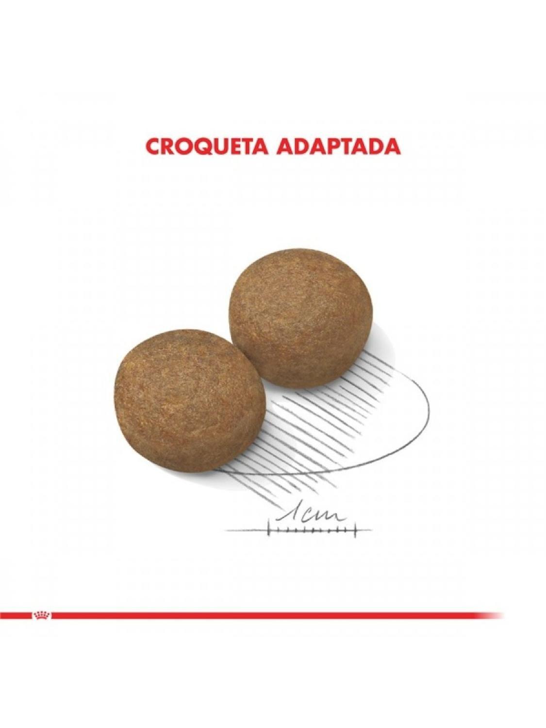 Royal Canin Maxi Adulto 12 kg | Perros de Raza Grande-3