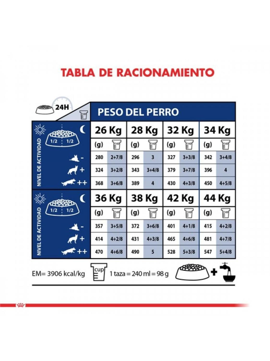 Royal Canin Maxi Adulto 12 kg | Perros de Raza Grande-4