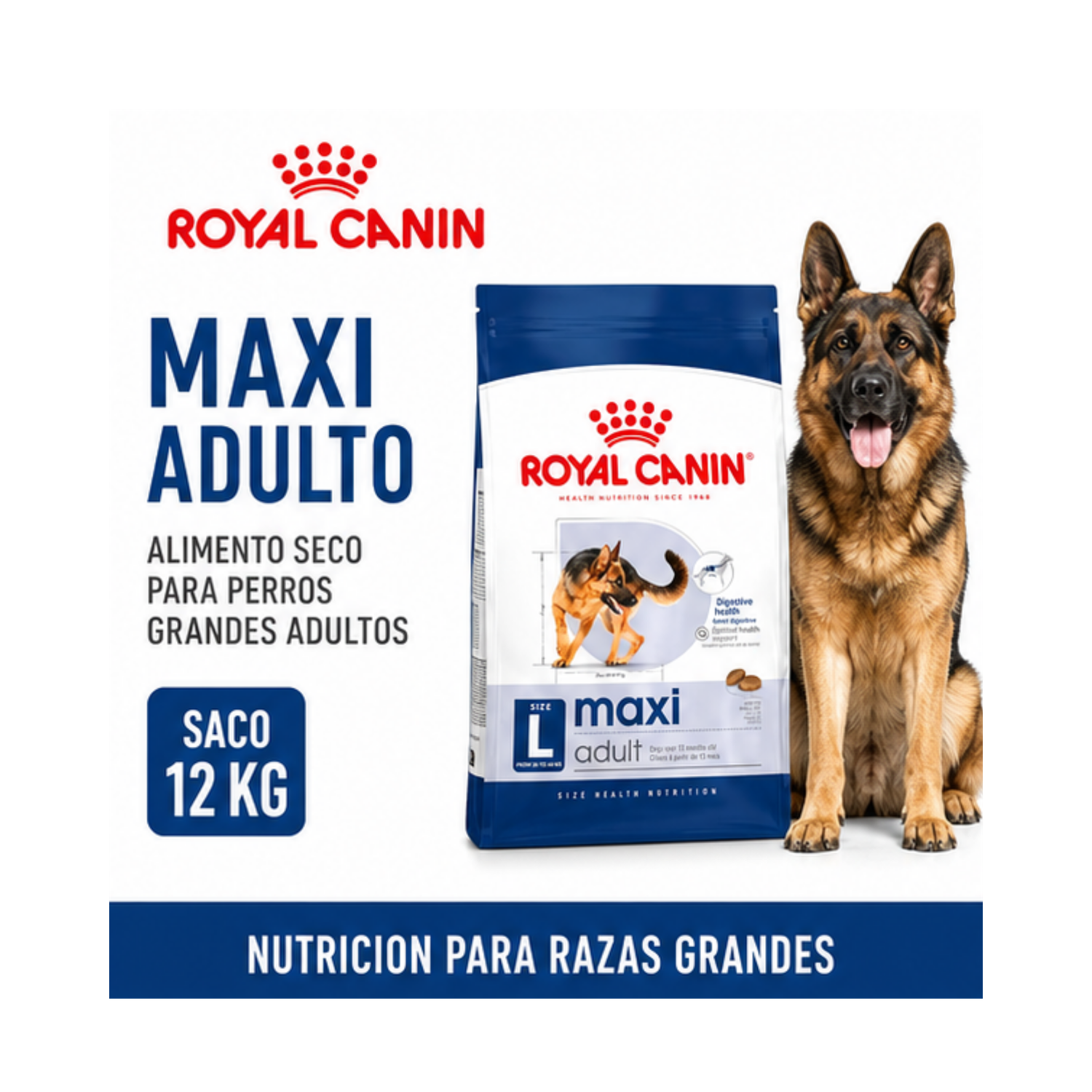 Royal Canin Maxi Adulto 12 kg | Perros De Raza Grande-4