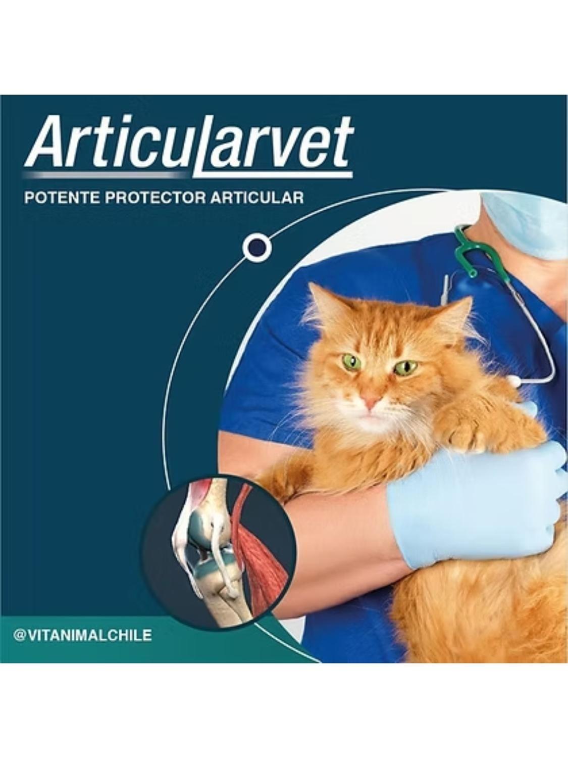 Articularvet Suplemento Articular x30 Comprimidos Perros-4