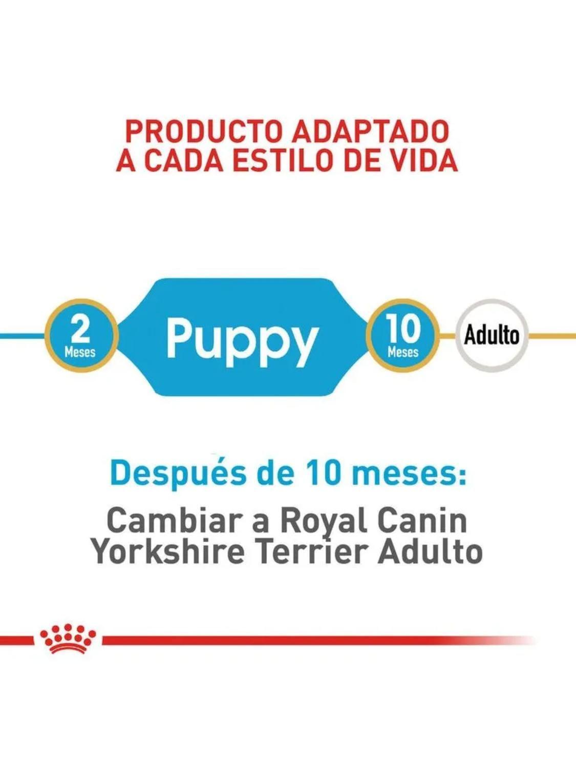 Alimento Royal Yorkshire Terrier Puppy Saco 1 kilo-3