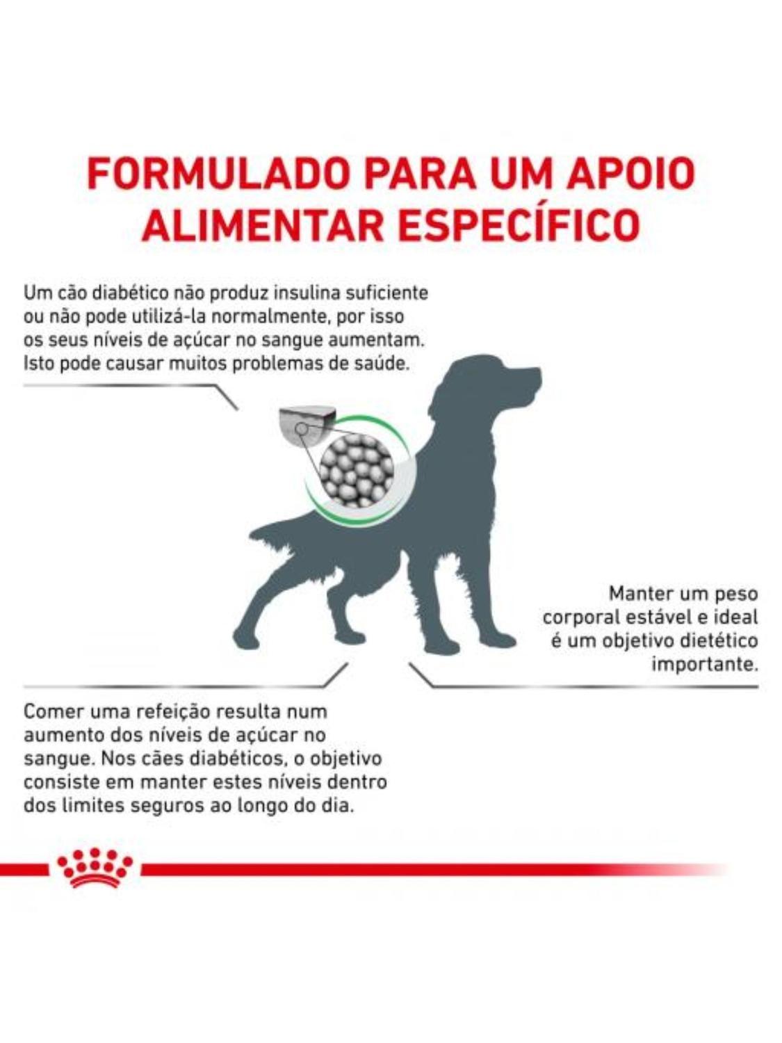 Alimento Royal Canin Diabetic Low Carbohydrates - Lata 200 Gr-2