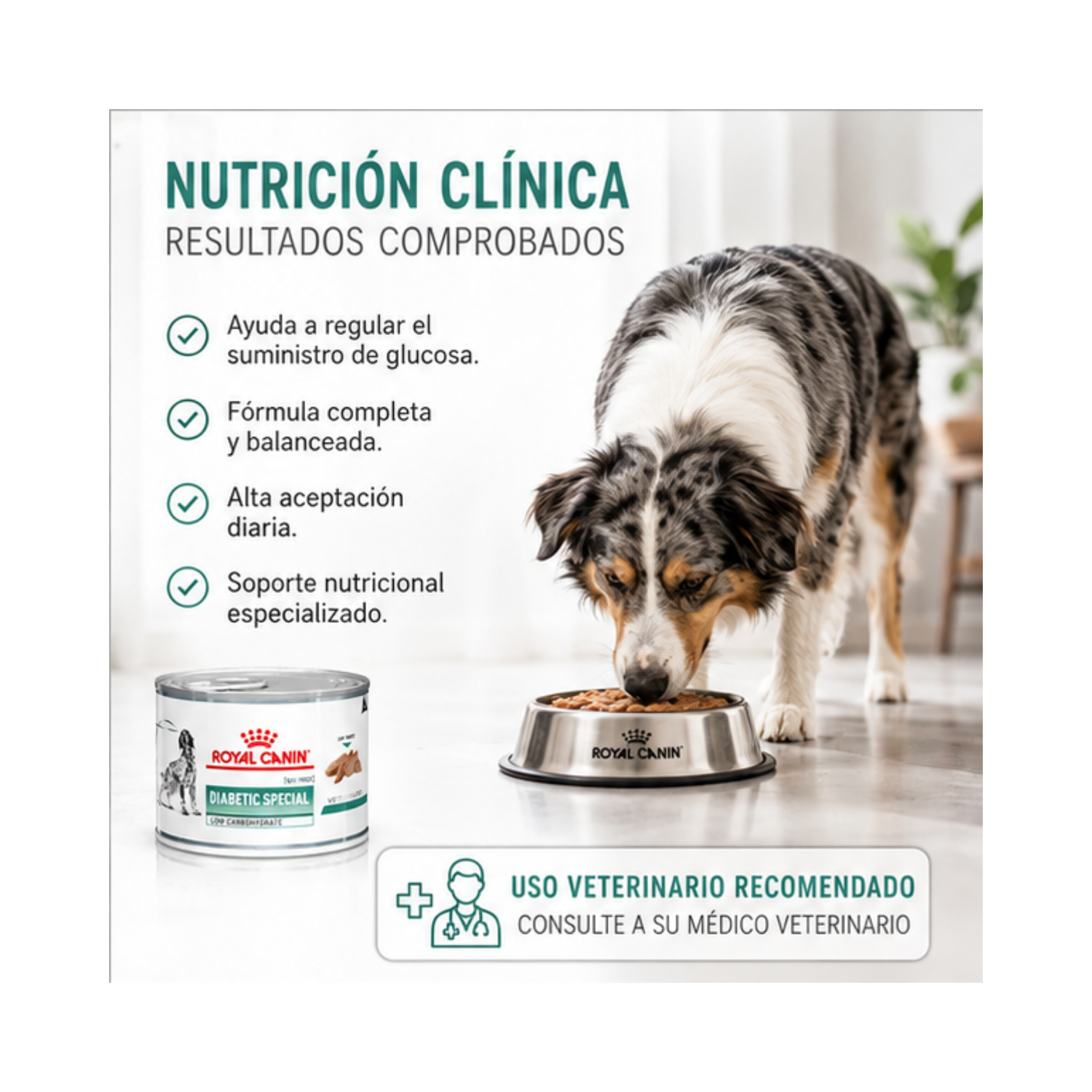 Royal Canin Diabetic Low Carbohydrates - Lata 200 Gr-2