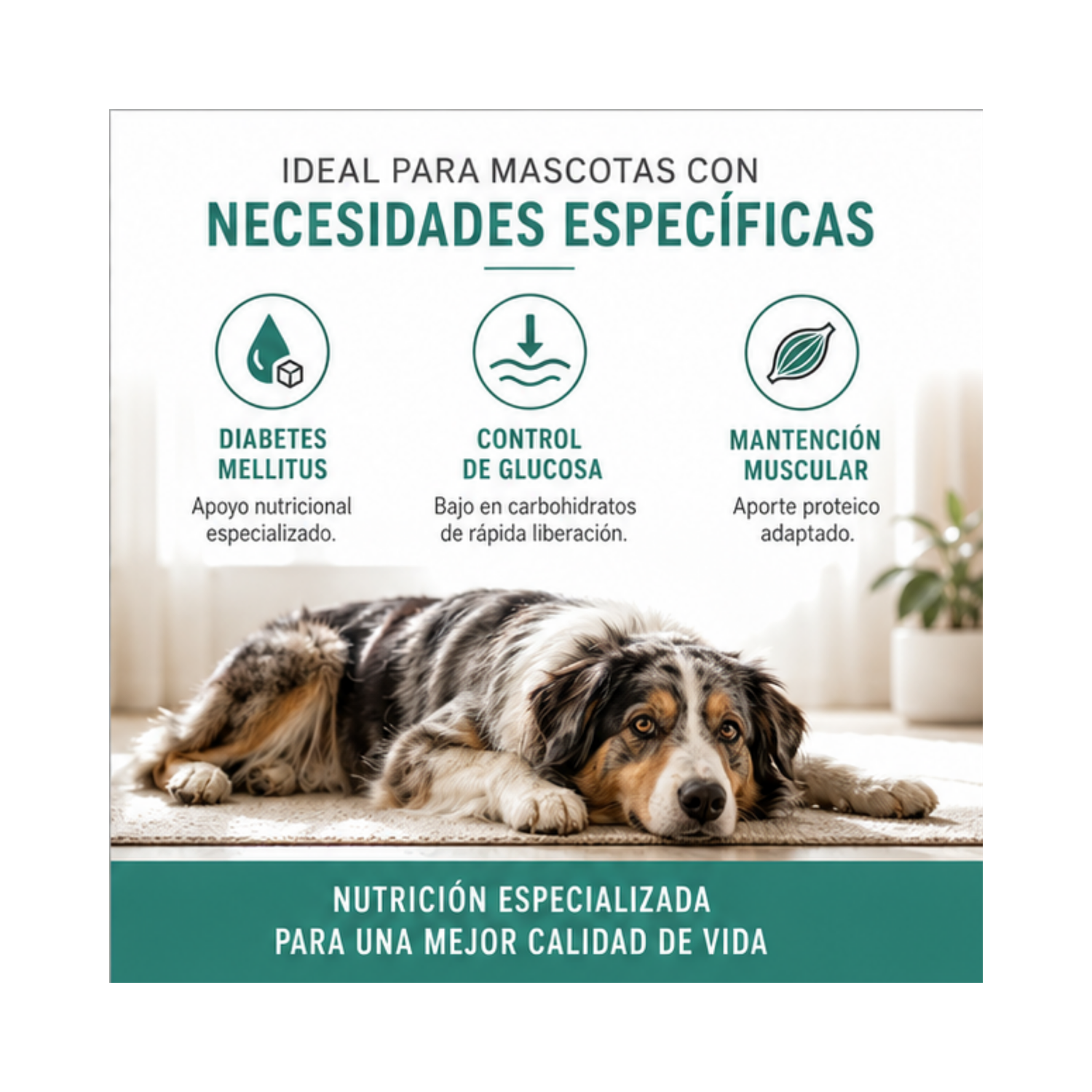 Royal Canin Diabetic Low Carbohydrates - Lata 200 Gr-3