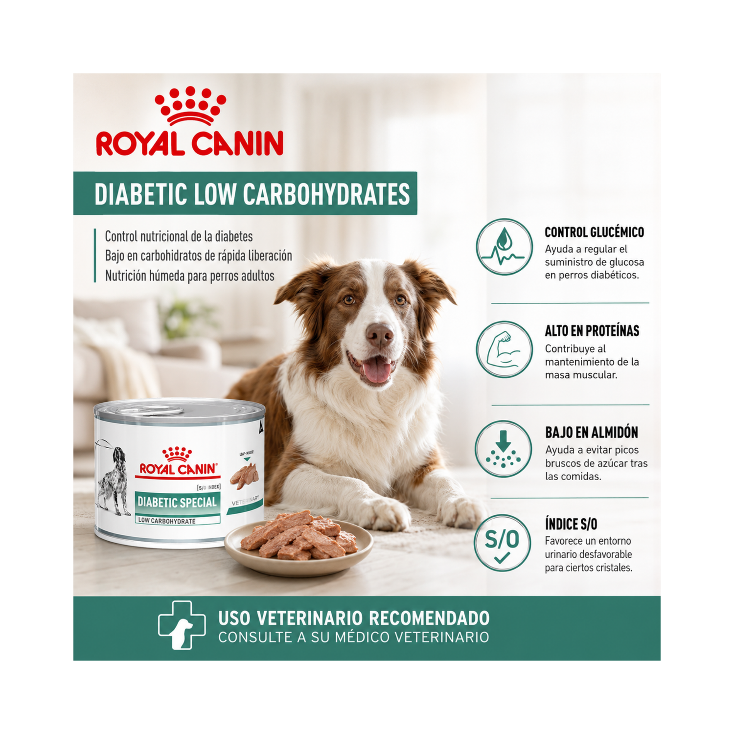 Royal Canin Diabetic Low Carbohydrates - Lata 200 Gr-5
