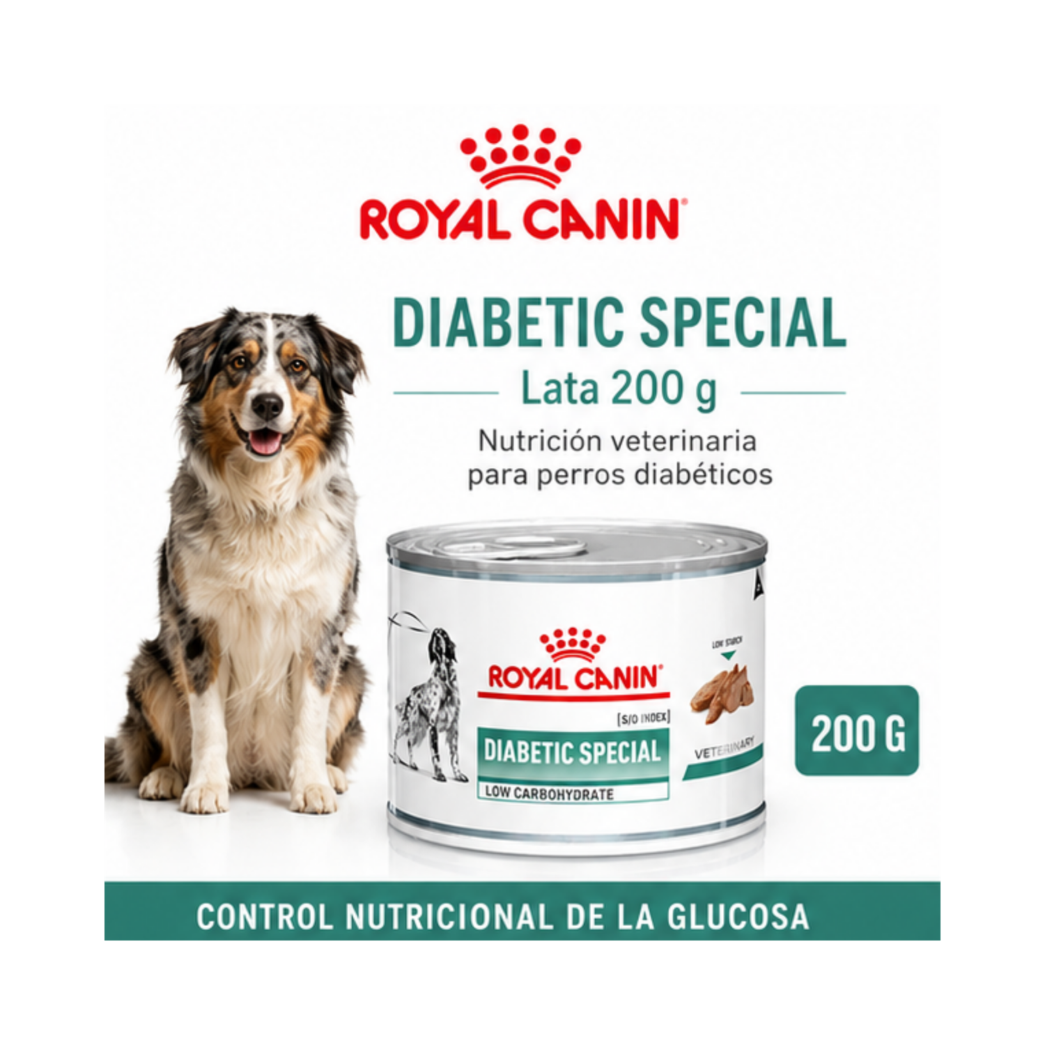 Royal Canin Diabetic Low Carbohydrates - Lata 200 Gr-6