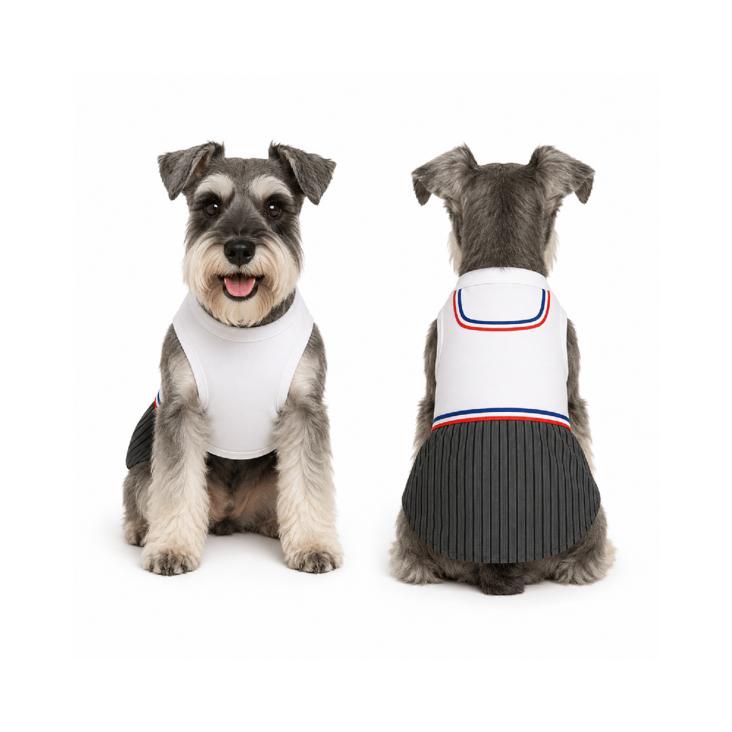 Traje de Huaso Chileno para Perro Talla M-0