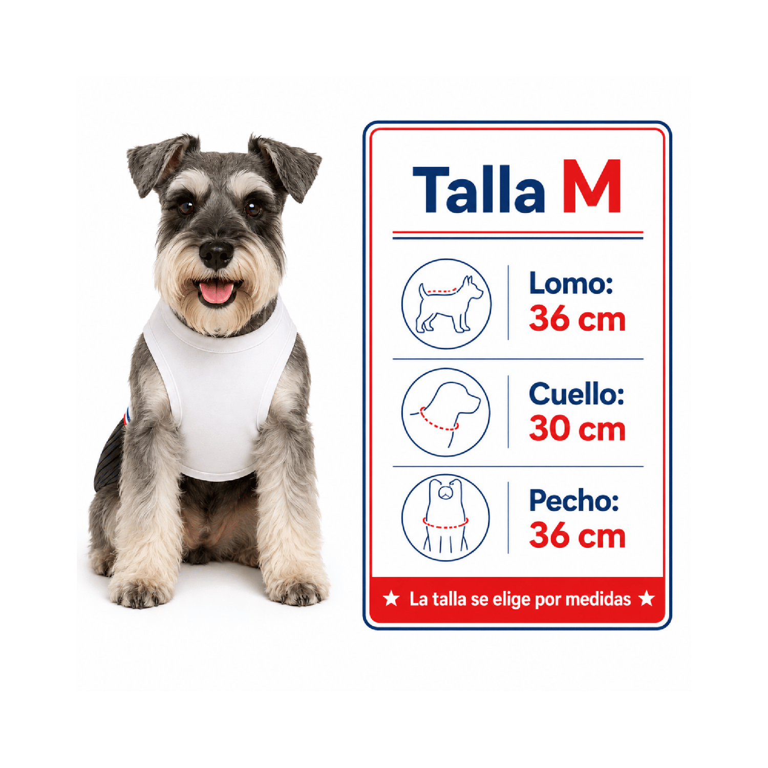 Traje de Huaso Chileno para Perro Talla M-2