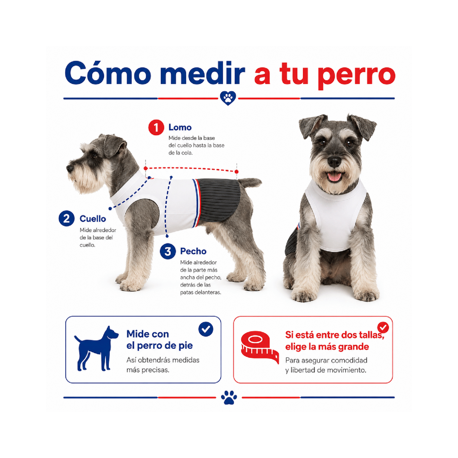 Traje de Huaso Chileno para Perro Talla M-4