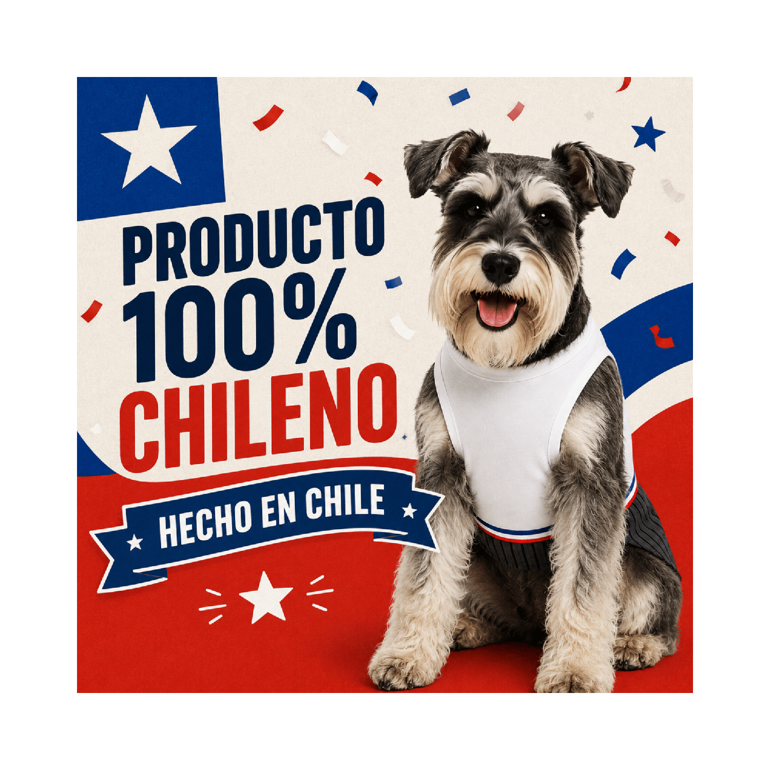 Traje de Huaso Chileno para Perro Talla M-6