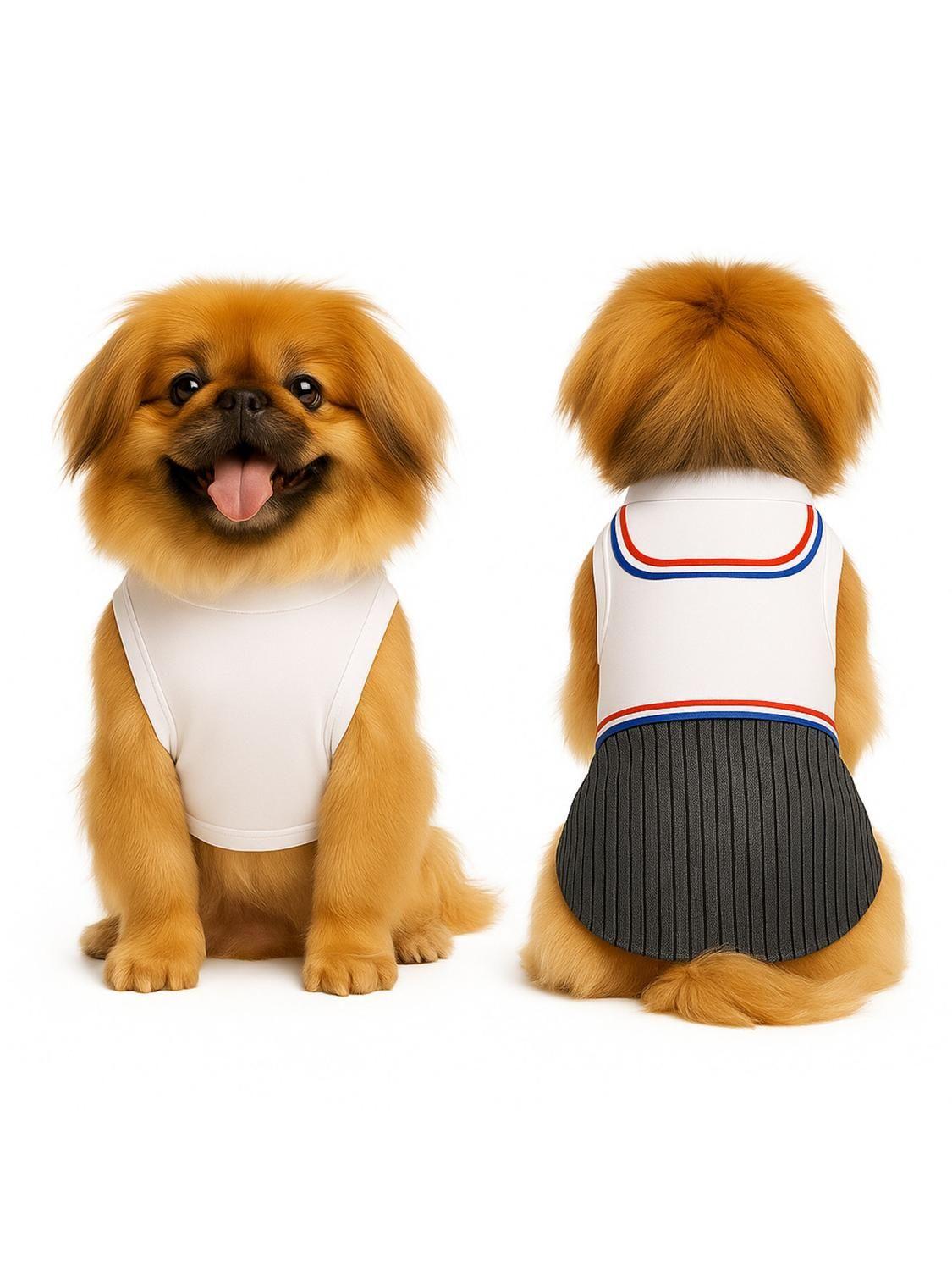 Traje de Huaso Chileno para Perro Talla M-9