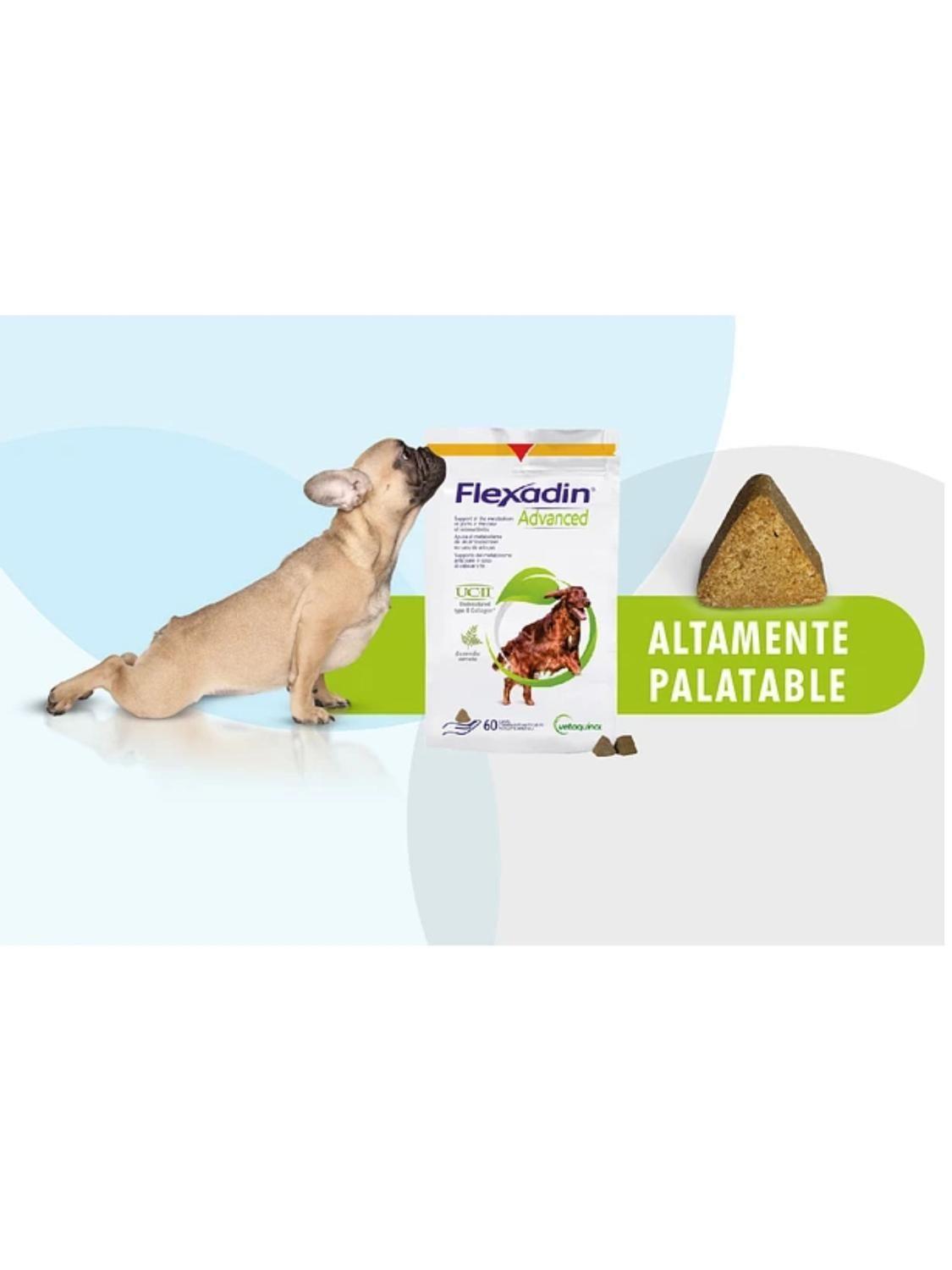Flexadin Advanded 60 unidades-2