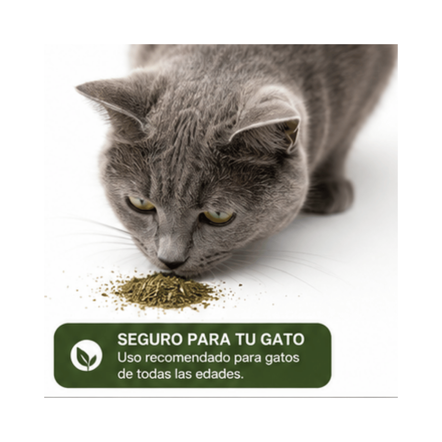 Hierba Gatera Catnip Wonder Cat Tubo 40ml-5