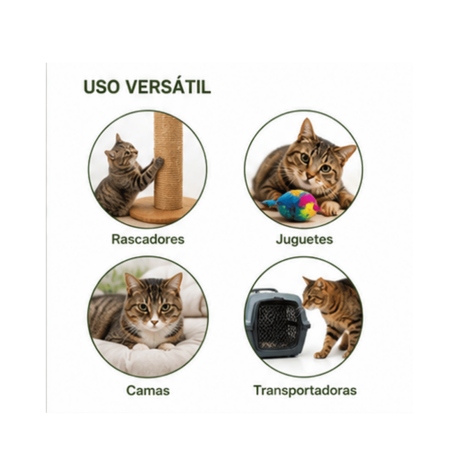 Hierba Gatera Catnip Wonder Cat Tubo 40ml-7