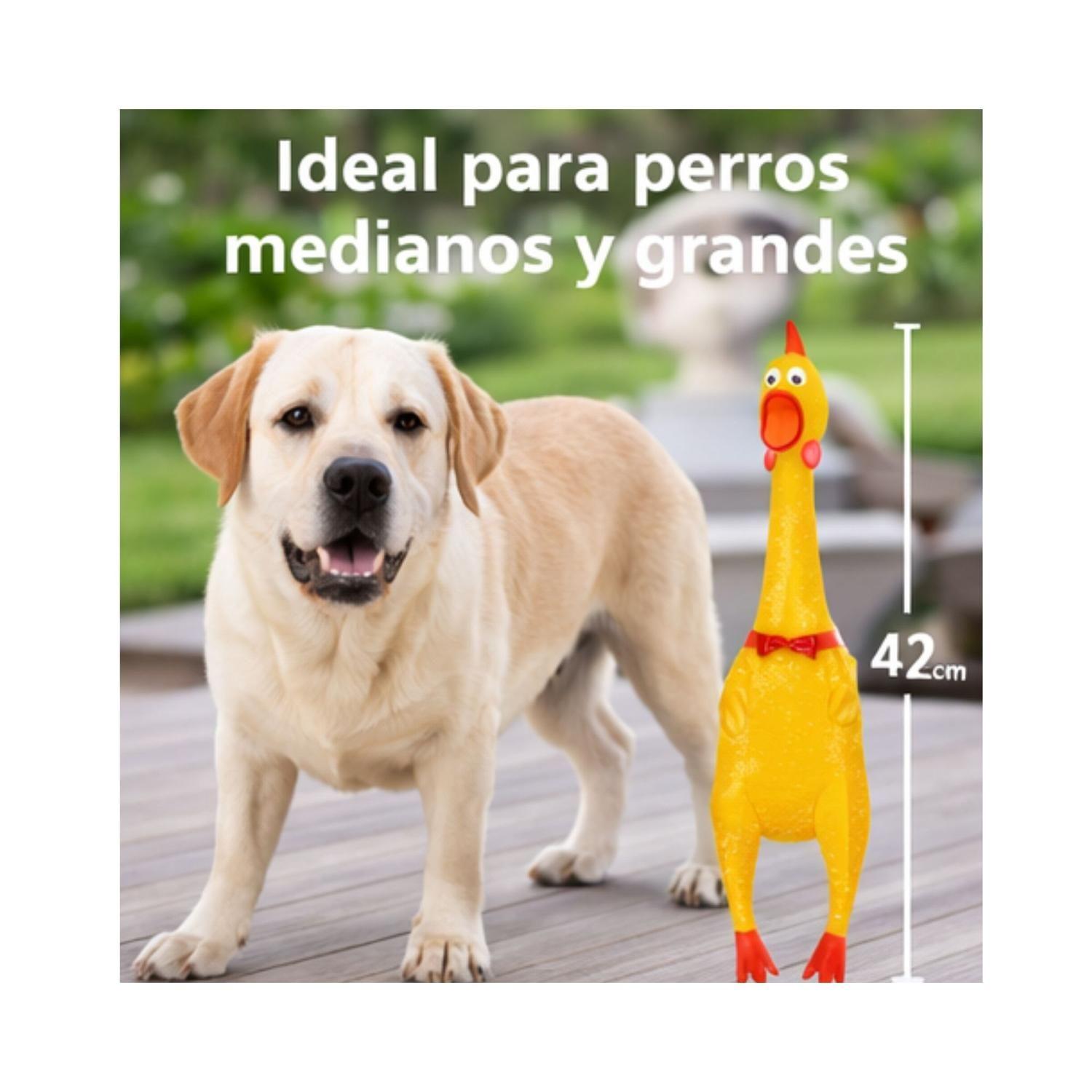 Juguete Perro Pollo Chillón L 41 cm Resistente-2