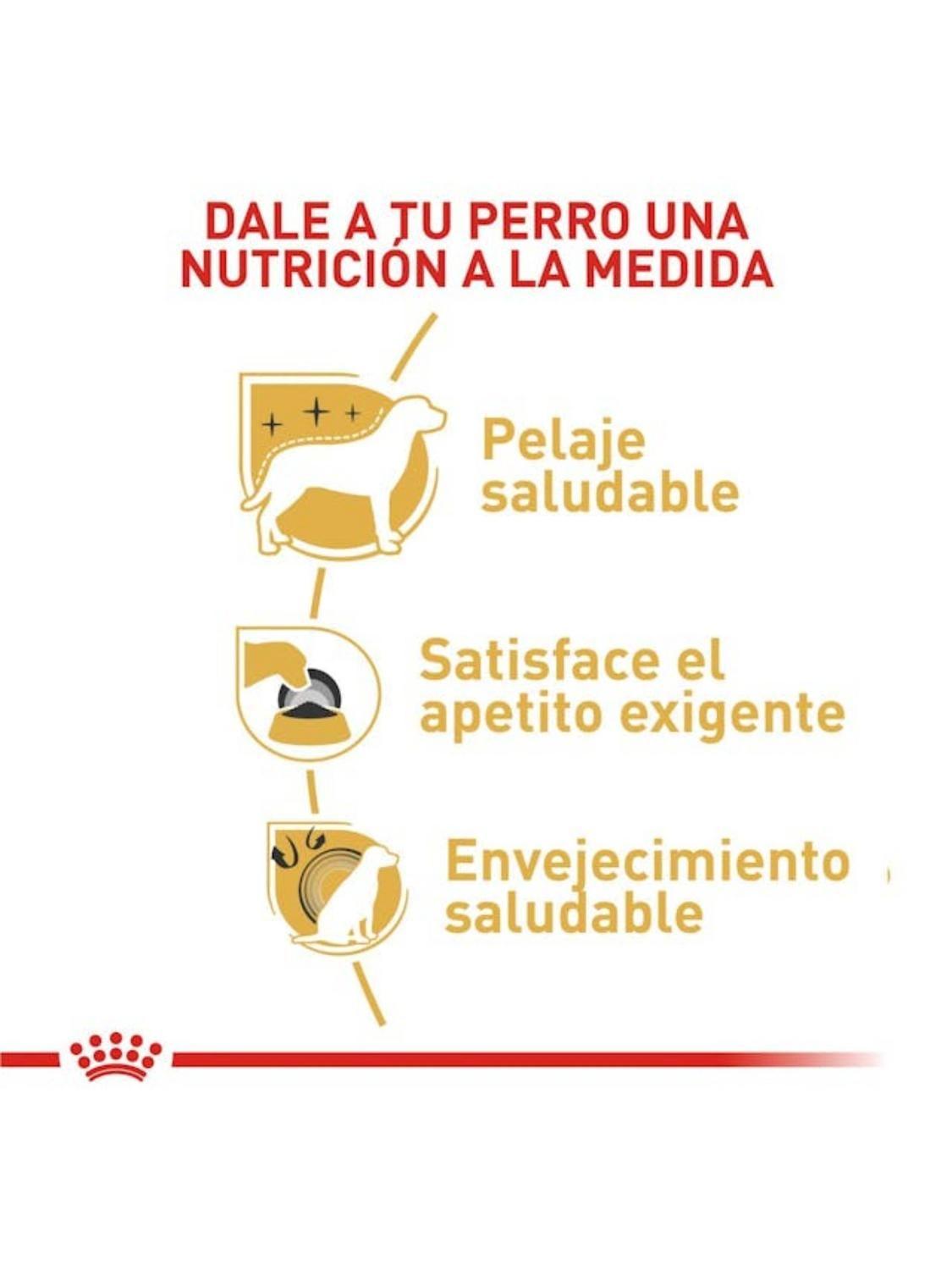 Alimento Royal Canin Yorkshire Terrier Adulto 1 kilo-2