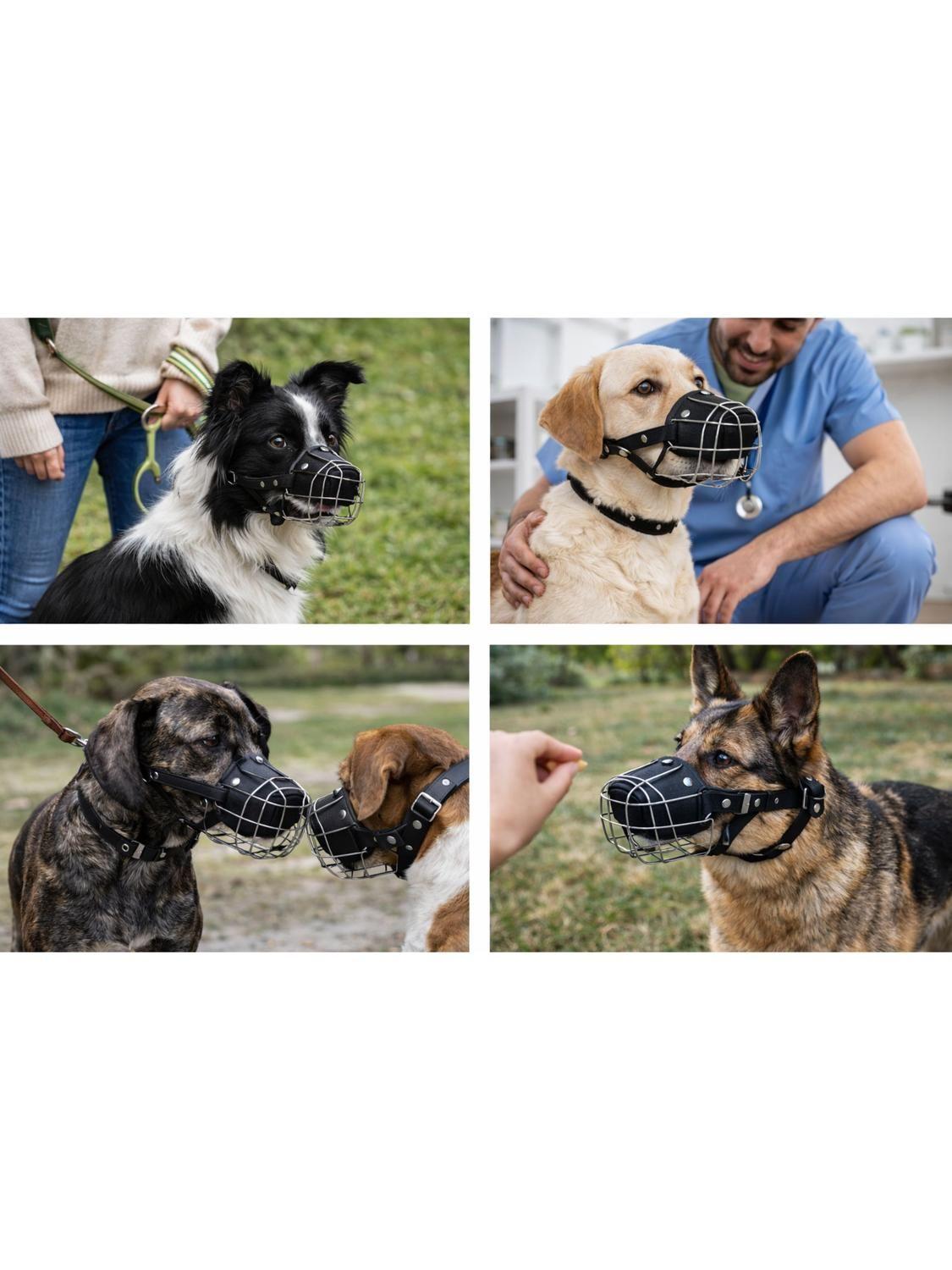 Bozal Perro Acero y Cuero Talla XXL (4) Perros 35 a 60 kg-6