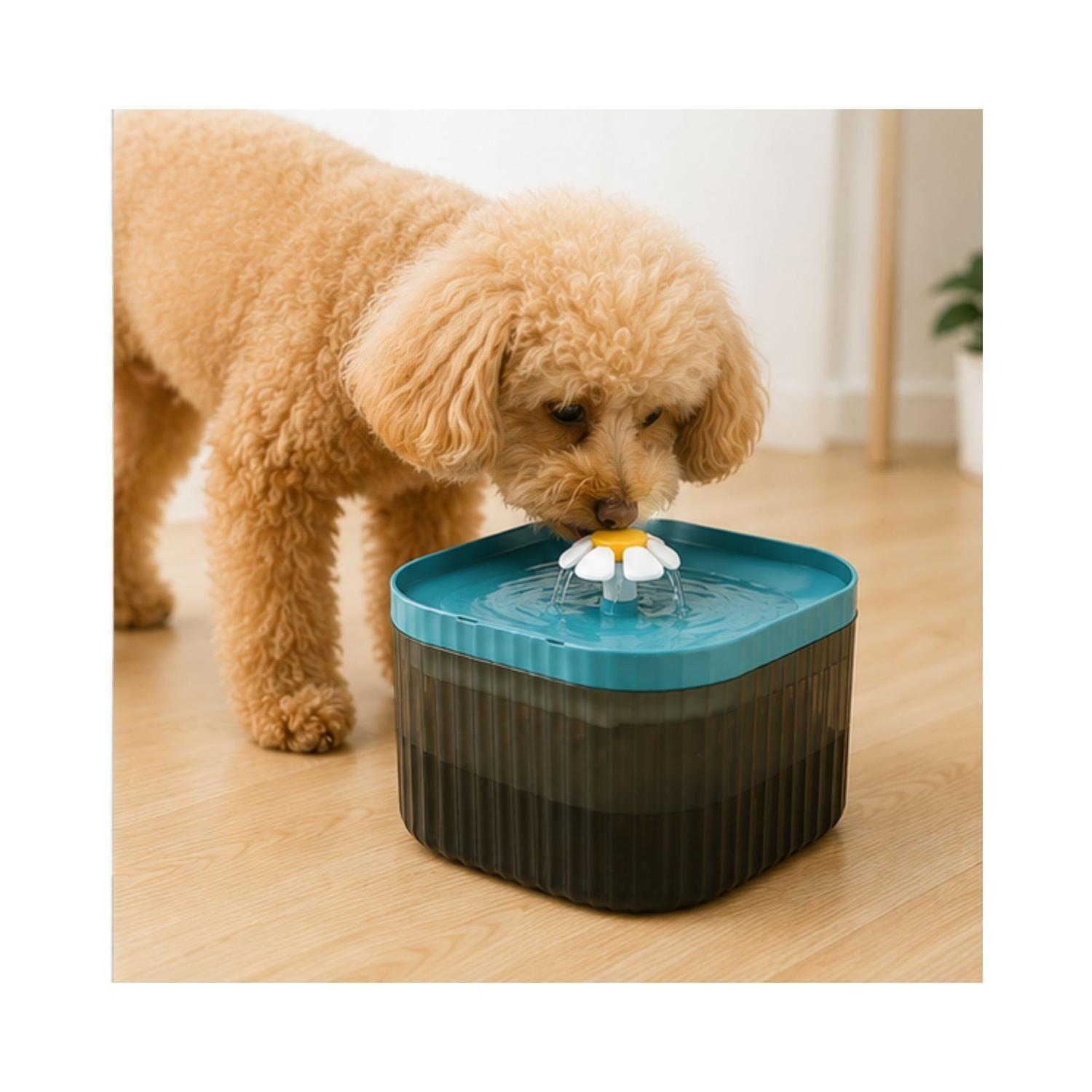 Dispensador Agua Flor 2,5 L Perro Gato Fuente Bebedero-3