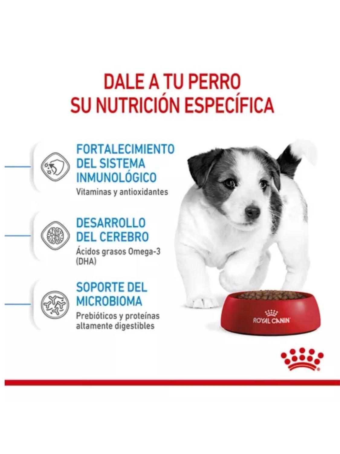 Alimento Royal Canin Mini Puppy Saco 1 kilo-1