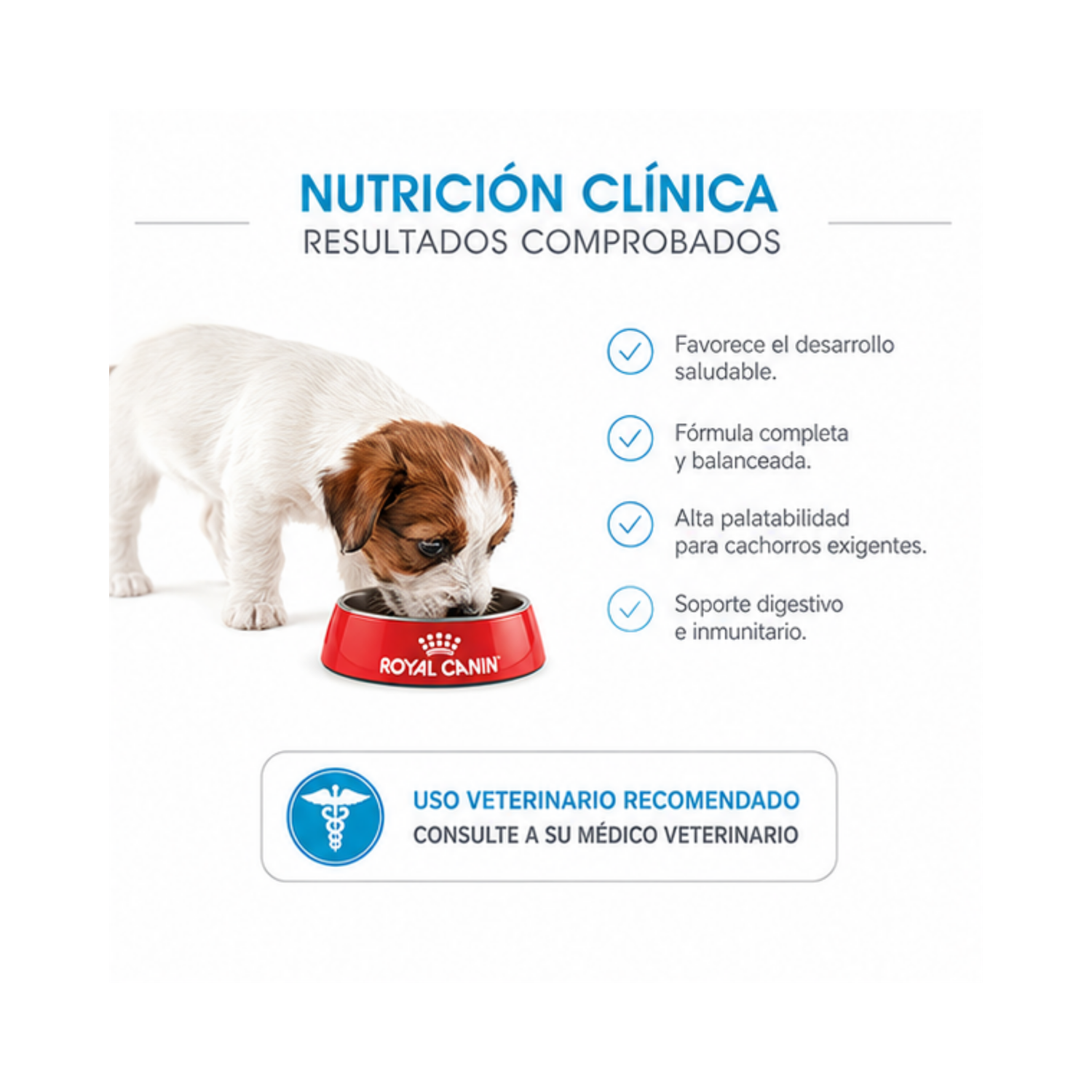 Royal Canin Mini Puppy Saco 1 Kilo-2