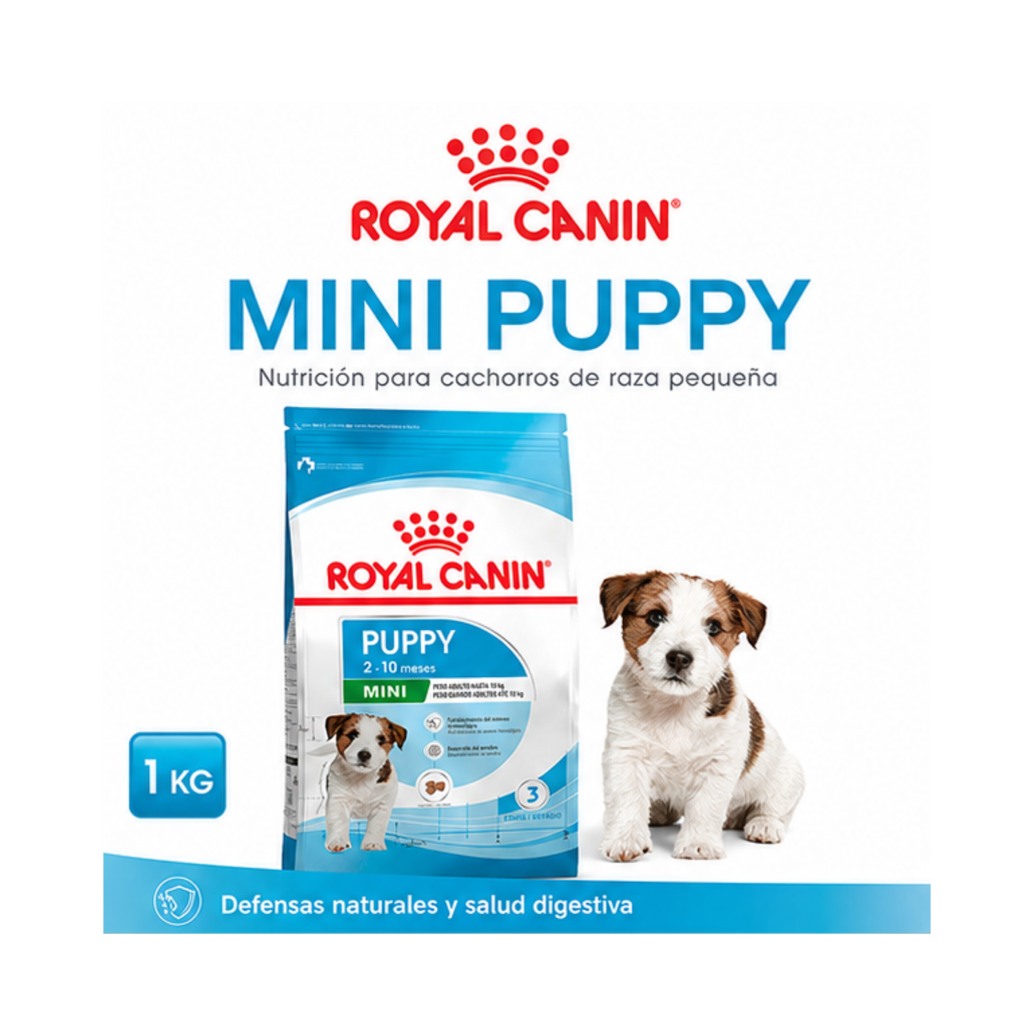 Royal Canin Mini Puppy Saco 1 Kilo-5