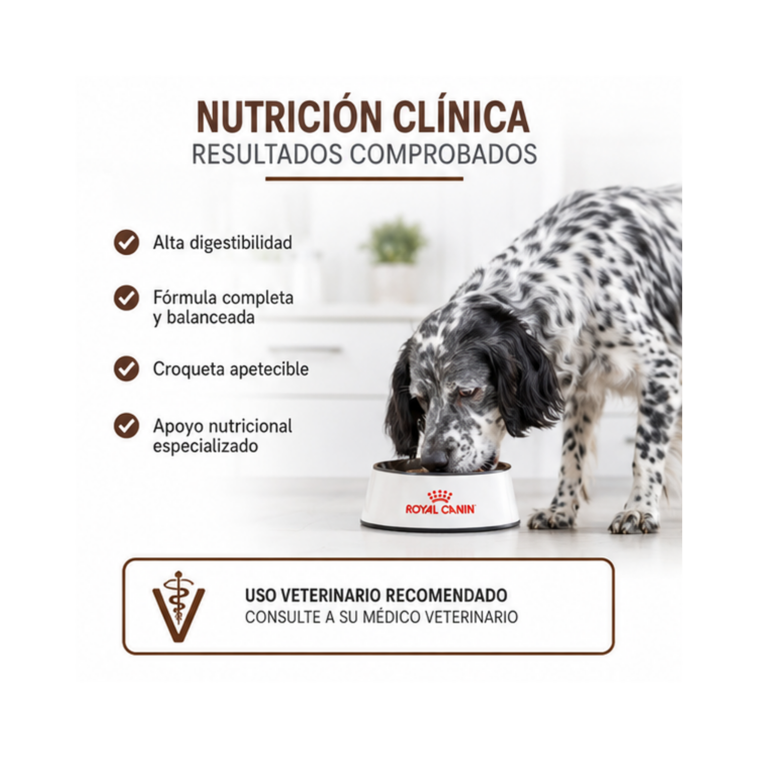 Royal Canin Gastrointestinal Saco 10 Kilo-2