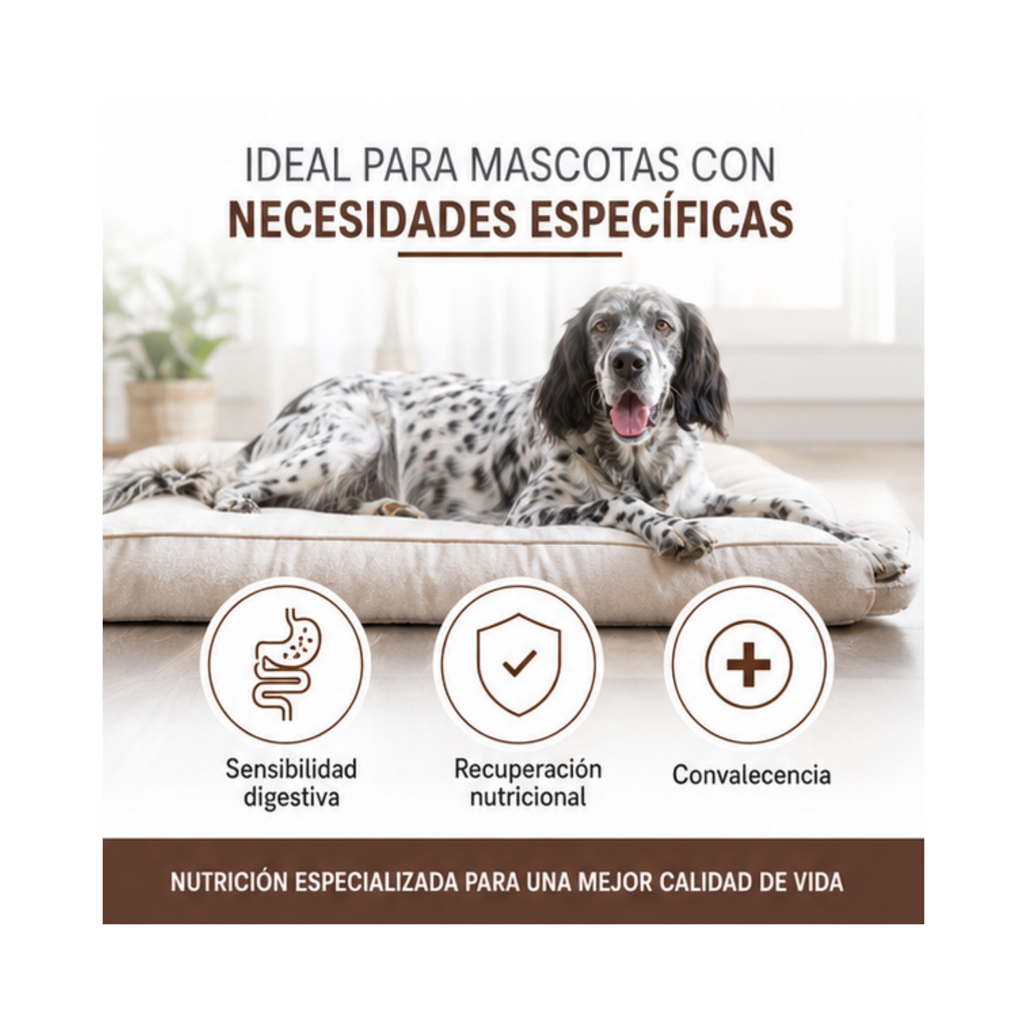 Royal Canin Gastrointestinal Saco 10 Kilo-3
