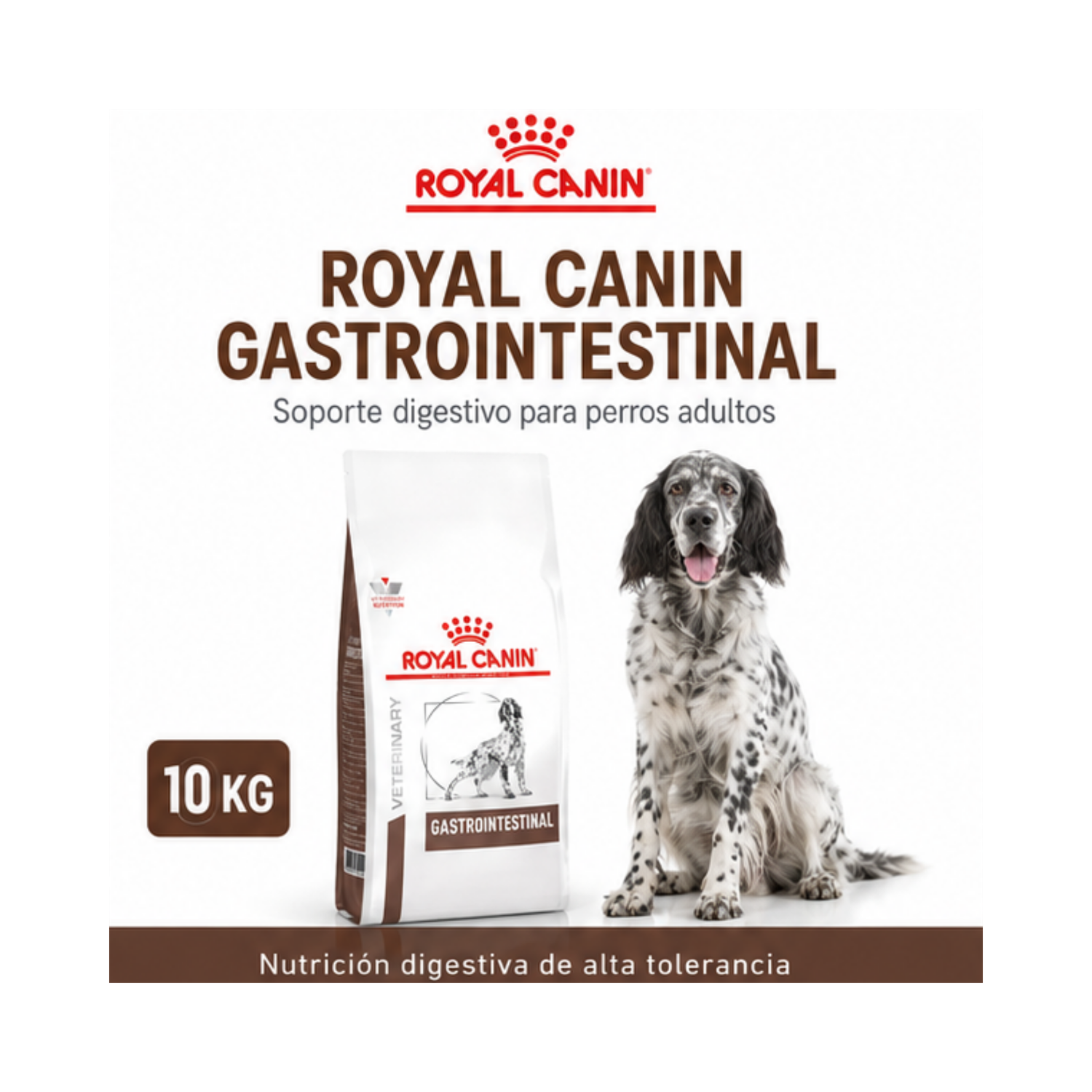 Royal Canin Gastrointestinal Saco 10 Kilo-5