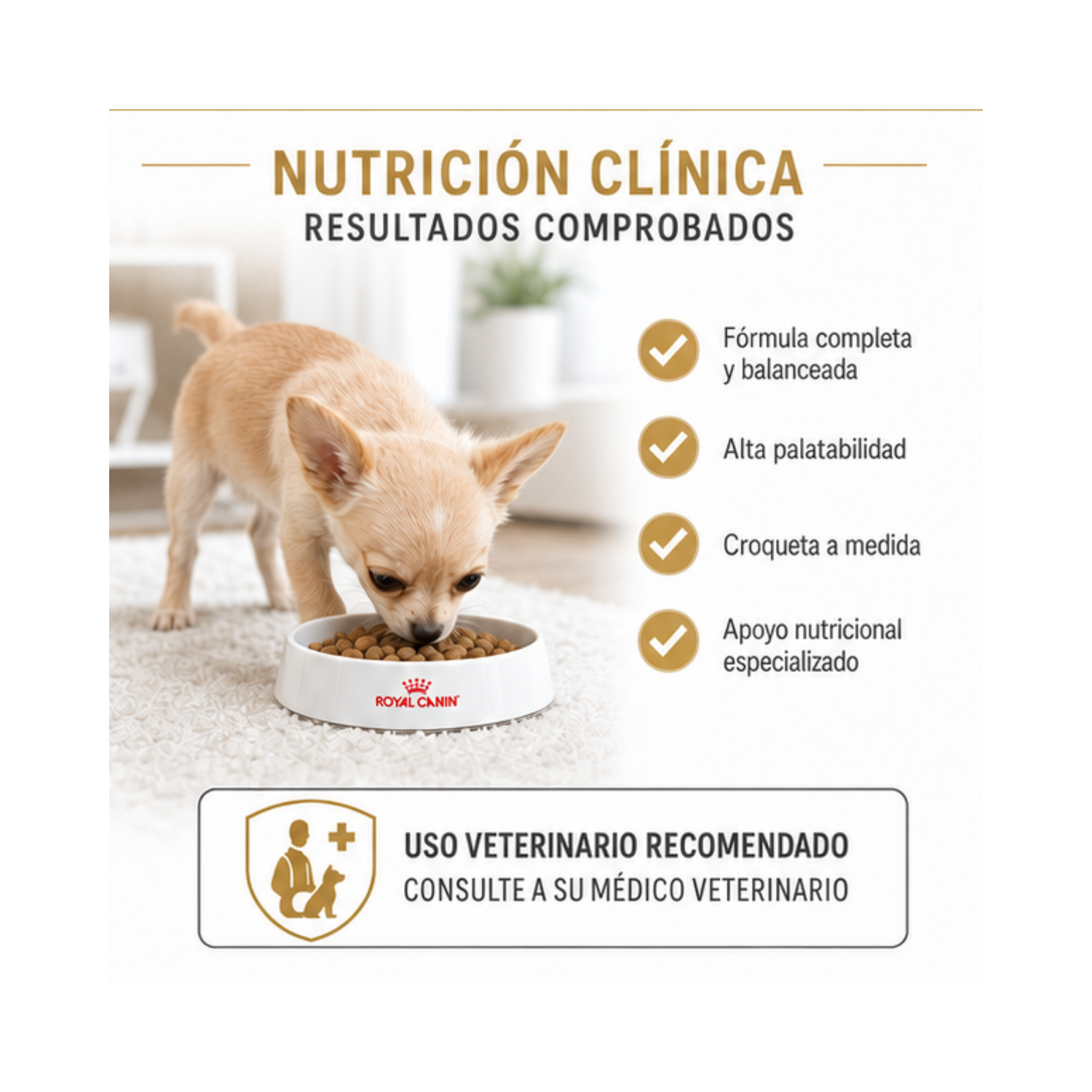 Royal Canin Chihuahua Puppy 1.5 kg-3