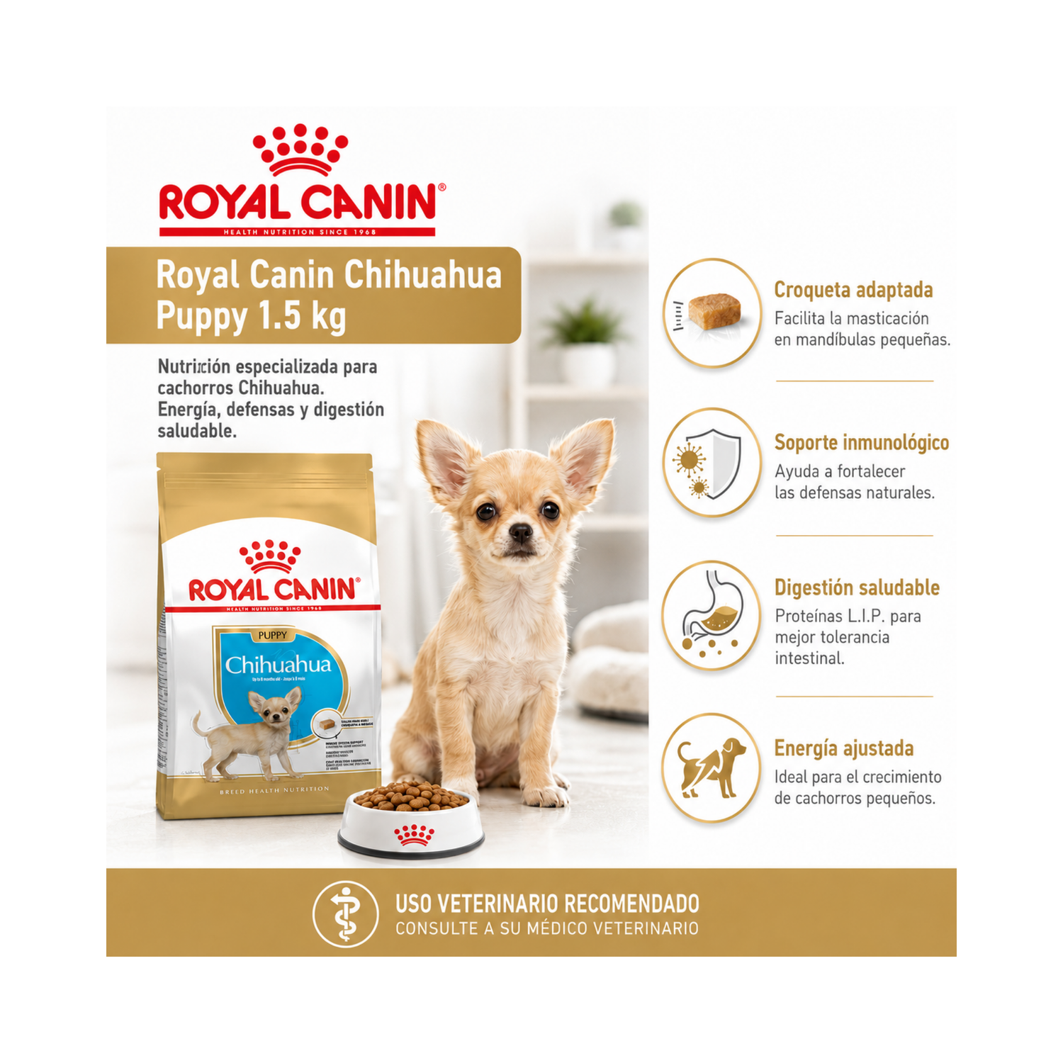 Royal Canin Chihuahua Puppy 1.5 kg-5