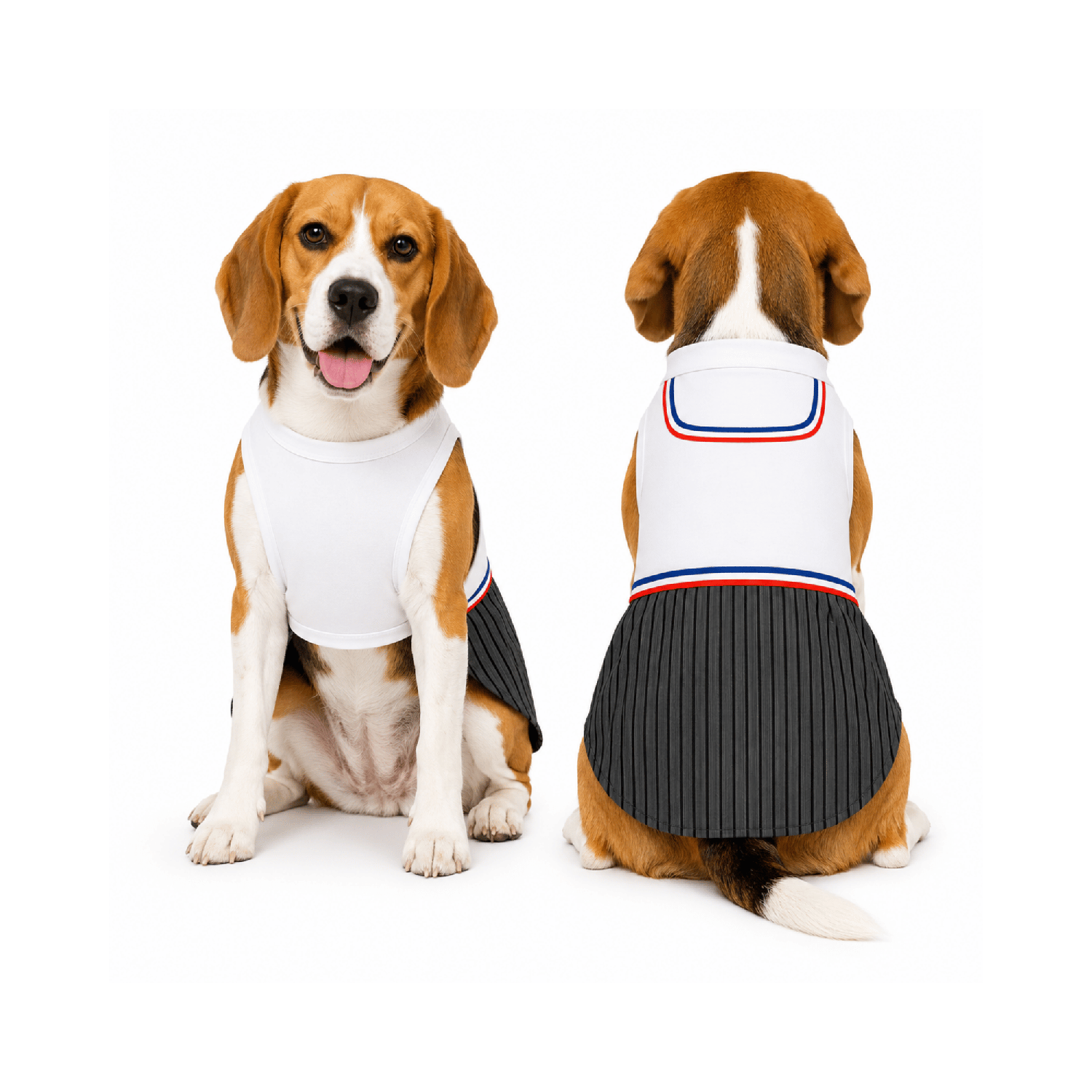 Traje de Huaso Chileno para Perro Talla L-0