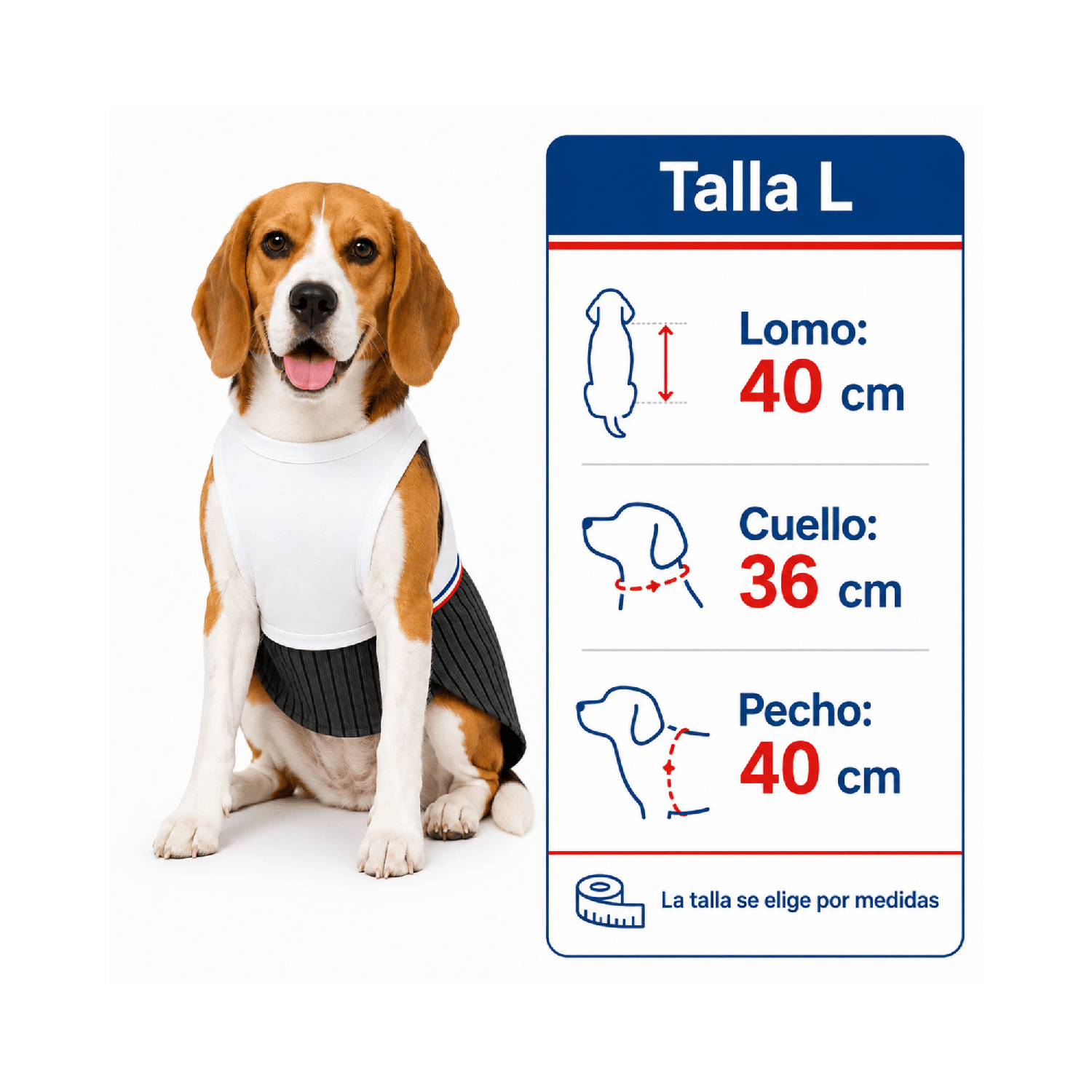 Traje de Huaso Chileno para Perro Talla L-2