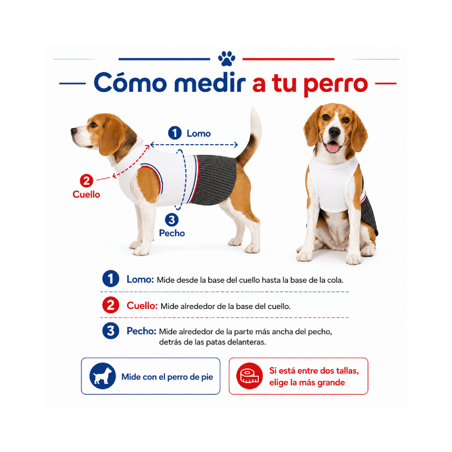 Traje de Huaso Chileno para Perro Talla L-4