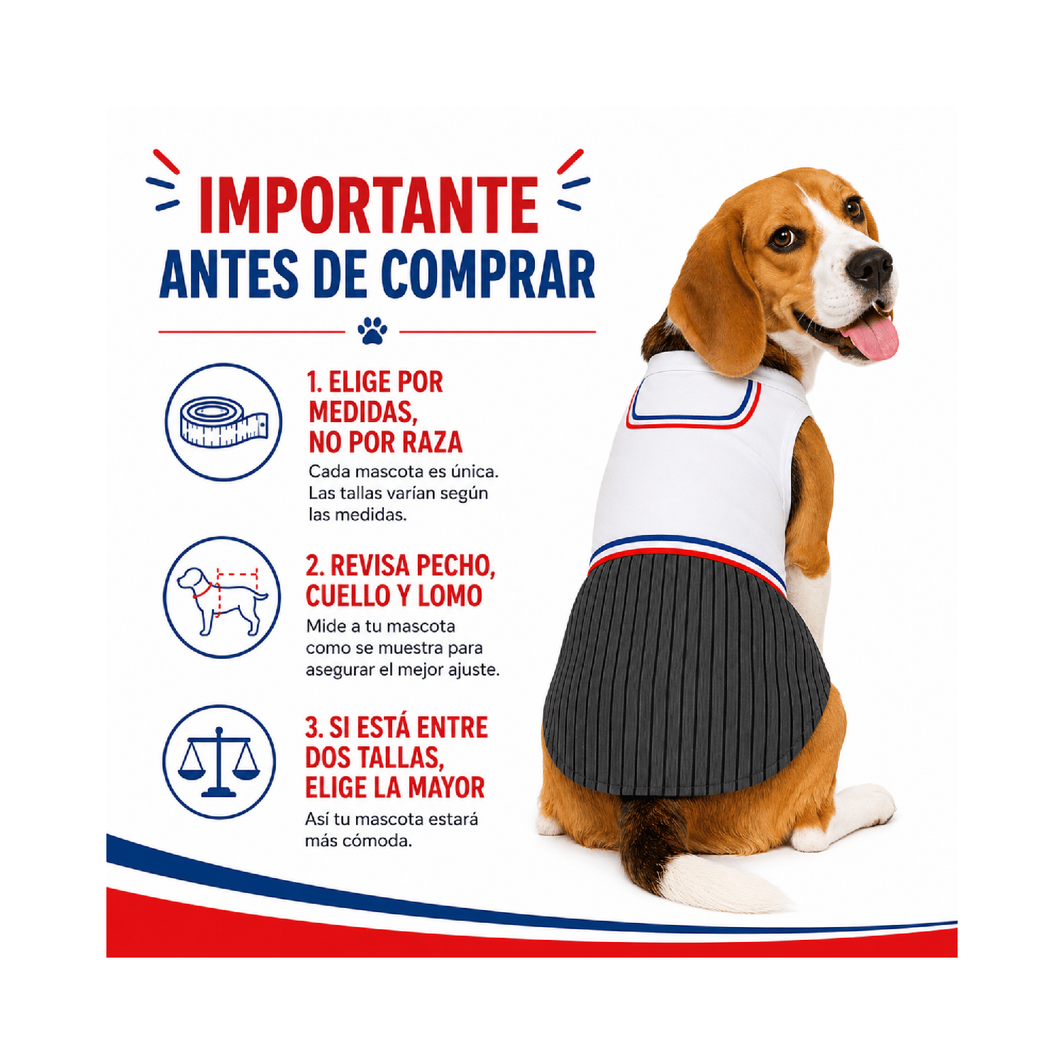 Traje de Huaso Chileno para Perro Talla L-7