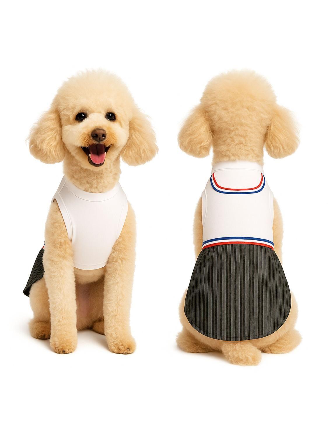 Traje de Huaso Chileno para Perro Talla L-9