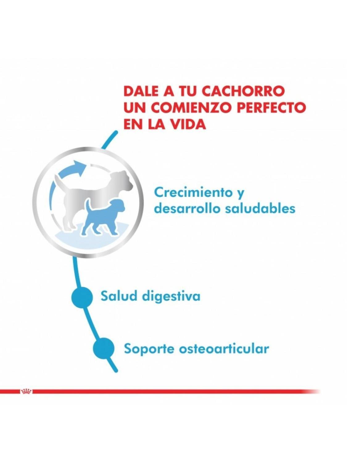 Royal Canin Maxi Puppy Cachorro Perro 4 kg-2