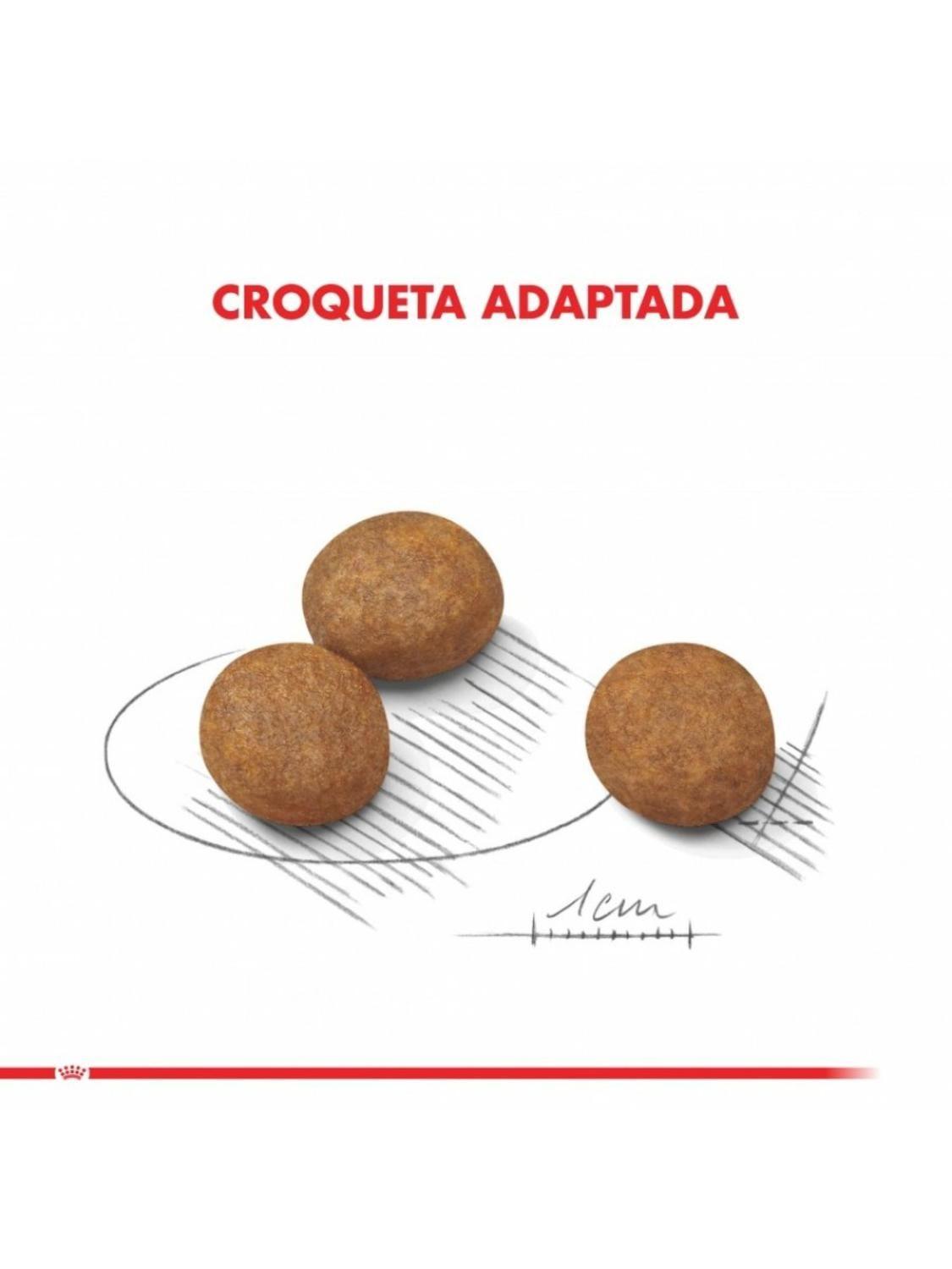 Royal Canin Maxi Puppy Cachorro Perro 4 kg-5