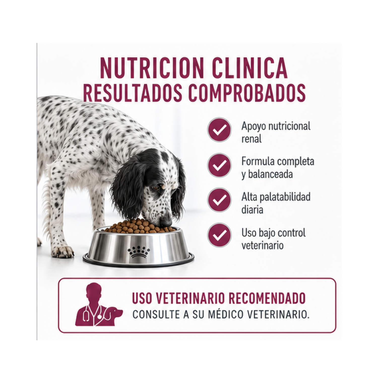 Royal Canin Renal Saco 1.5 Kilo-2