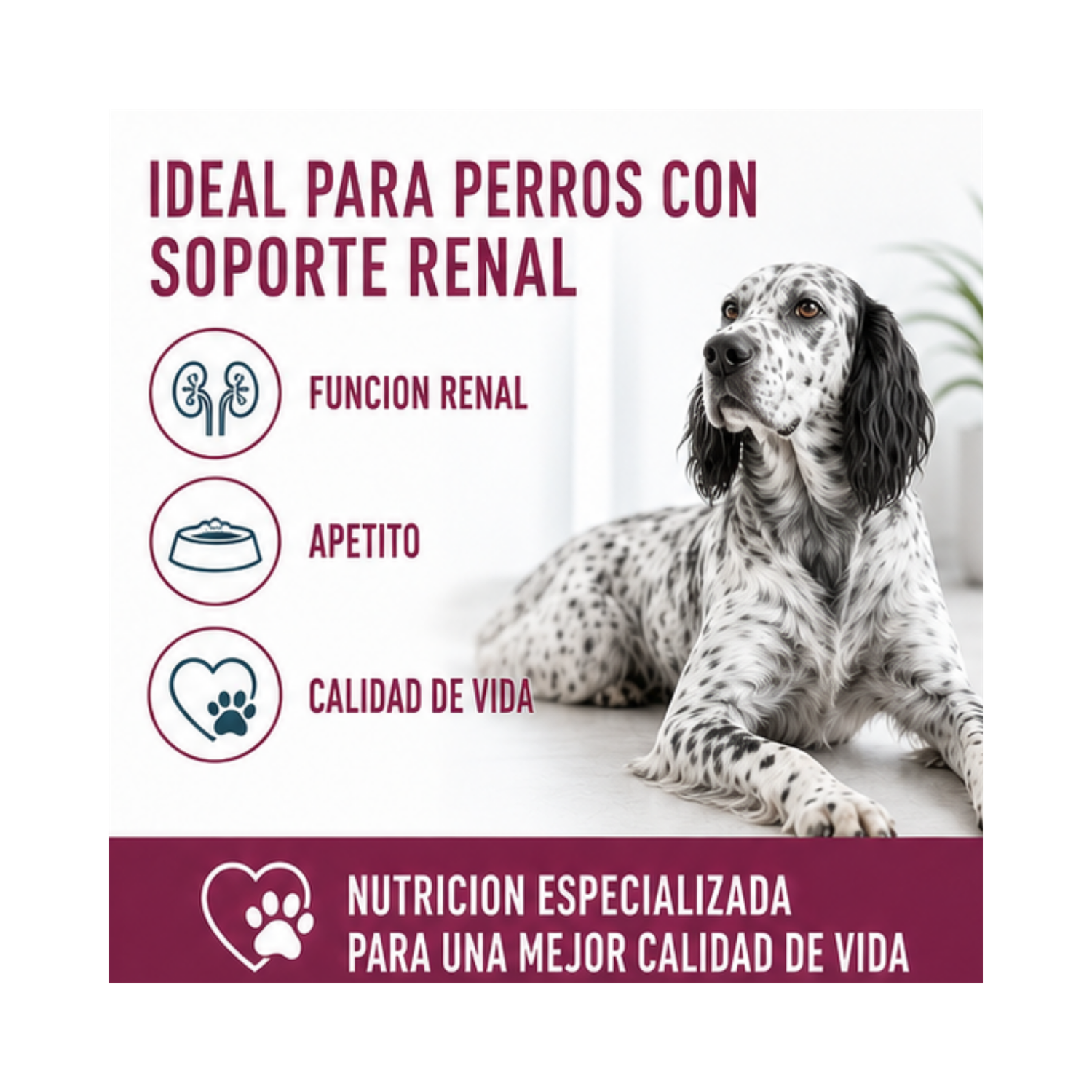 Royal Canin Renal Saco 1.5 Kilo-3