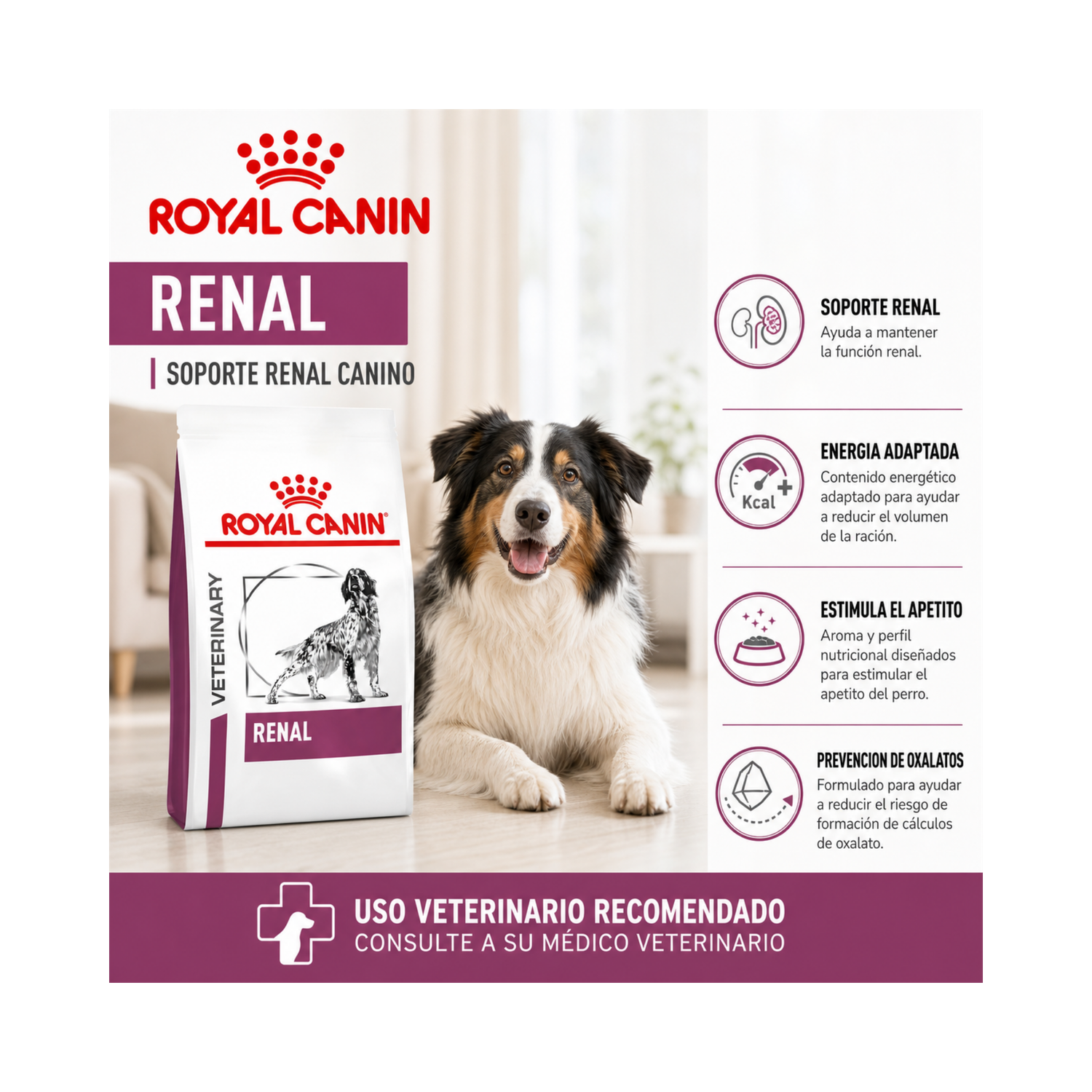 Royal Canin Renal Saco 1.5 Kilo-4