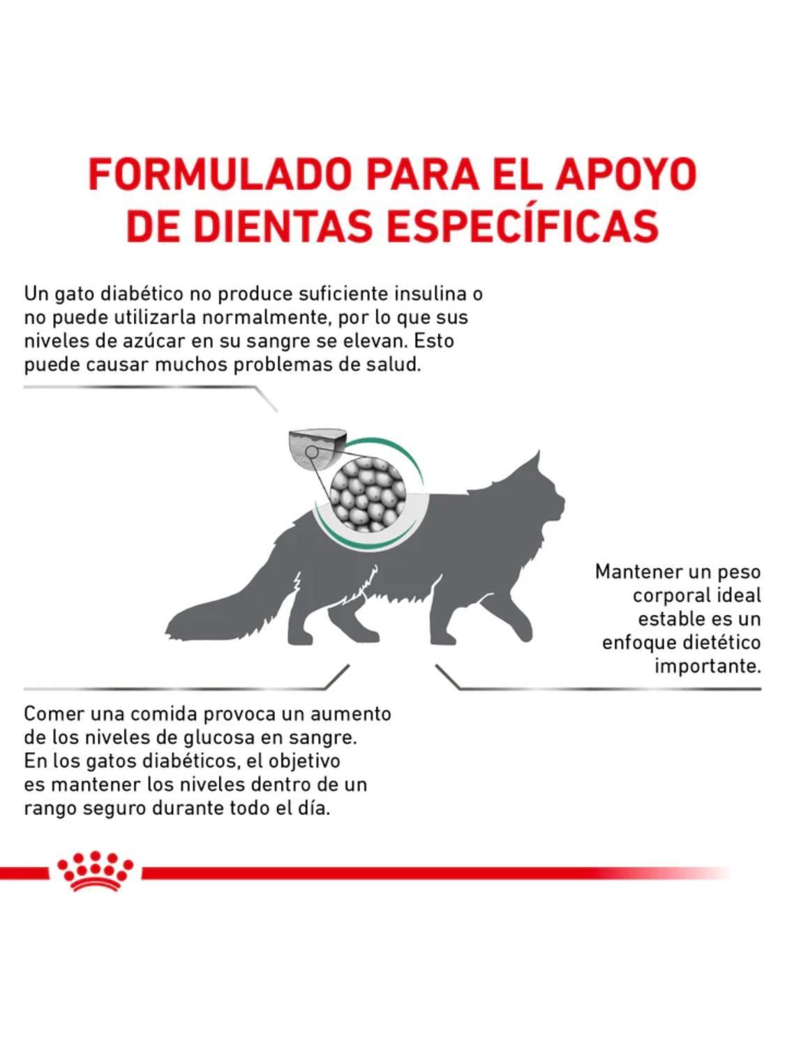 Royal Canin Diabetic Gato 1,5 kg-2