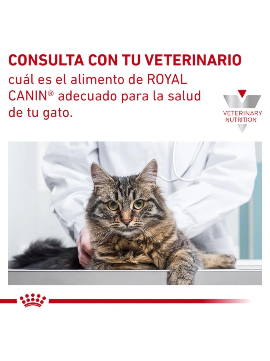 Royal Canin Diabetic Gato 1,5 kg-5