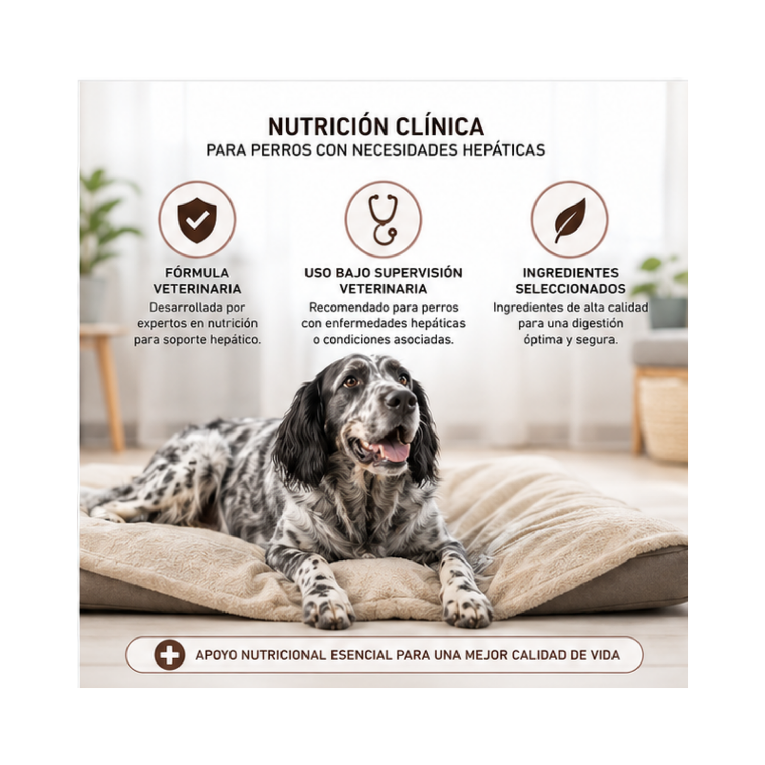 Royal Canin Hepatic Para Perro Lata 200gr | Pack 6 Latas-2