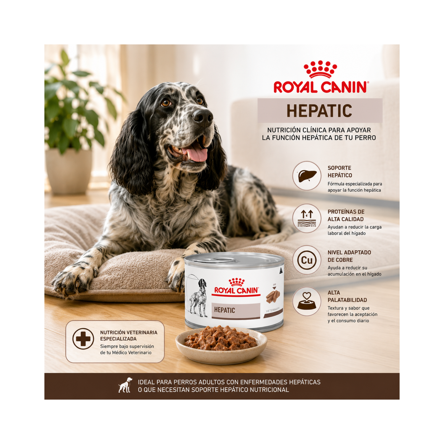 Royal Canin Hepatic Para Perro Lata 200gr | Pack 6 Latas-4