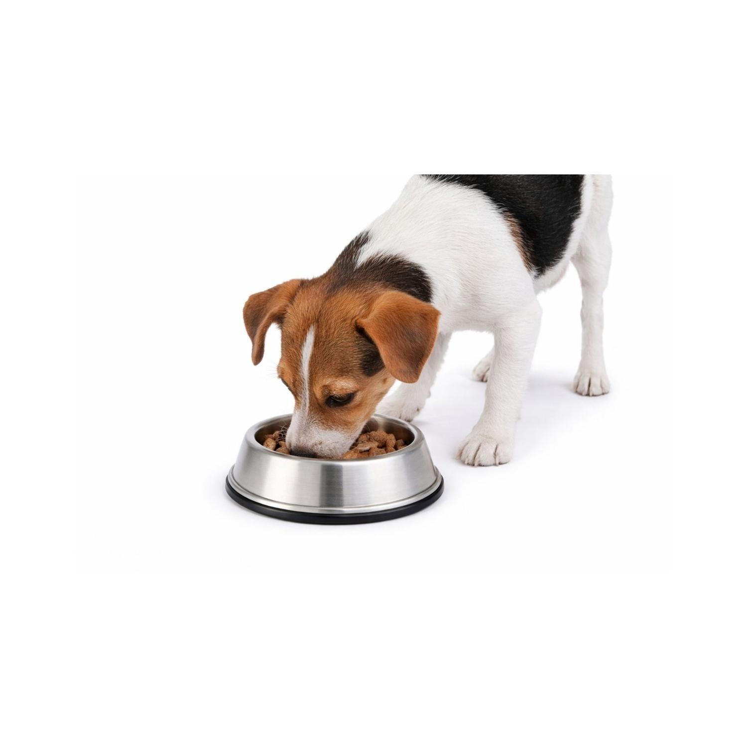 Plato Antihormigas Acero Inoxidable Mascotas S 0.45 L-0