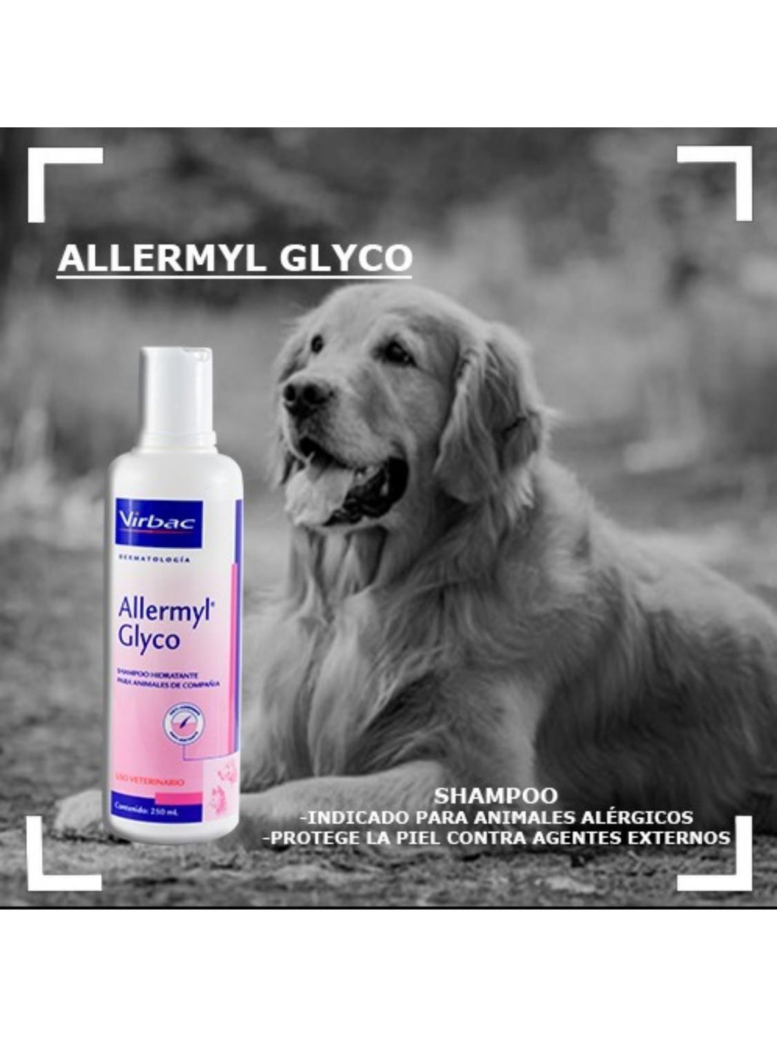 Shampoo dermatologico Hidratznte Virbac Allermyl Glyco 250ML-2