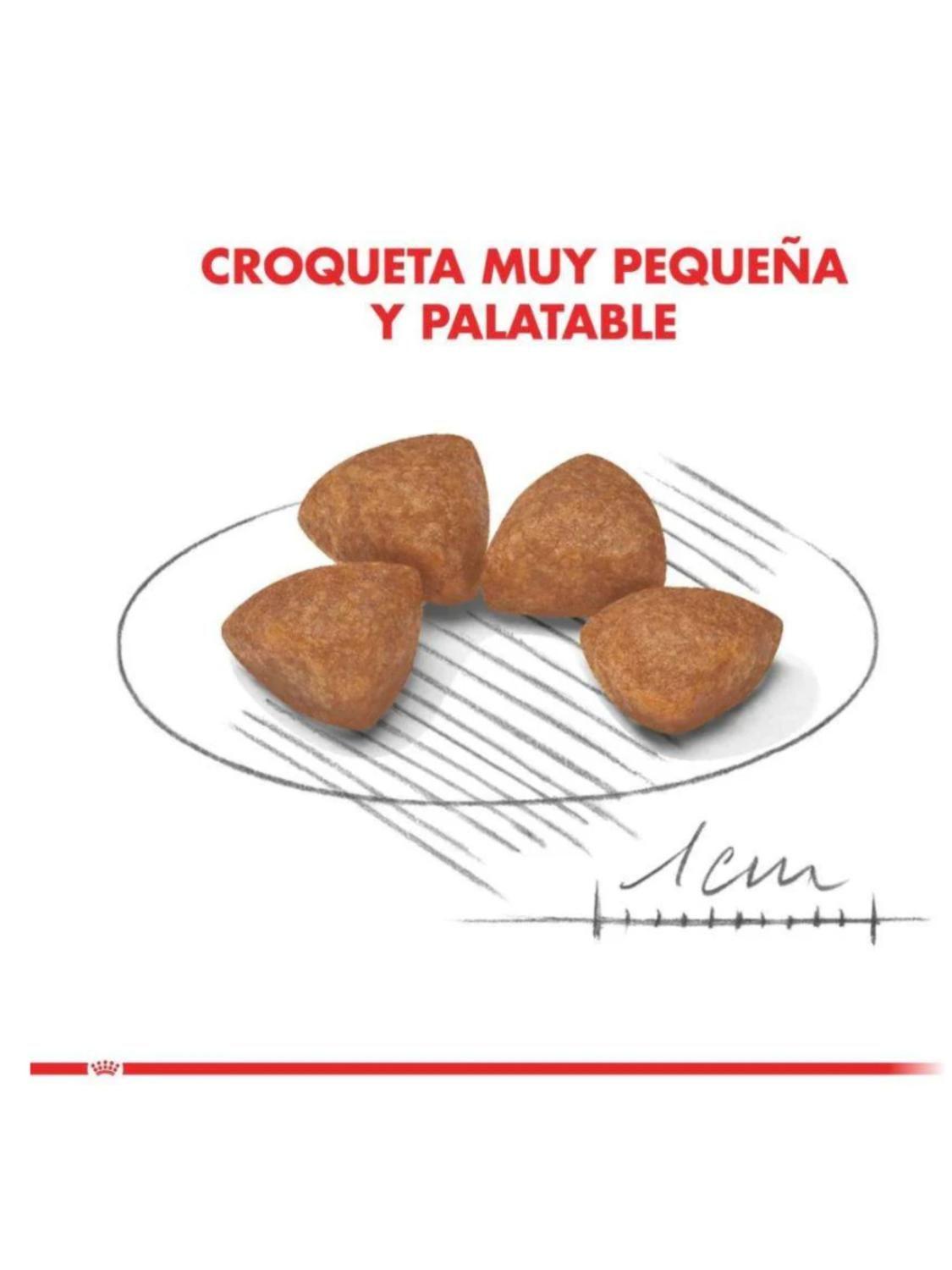 ALIMENTO ROYAL CANIN X-SMALL PUPPY 2.5KG-4