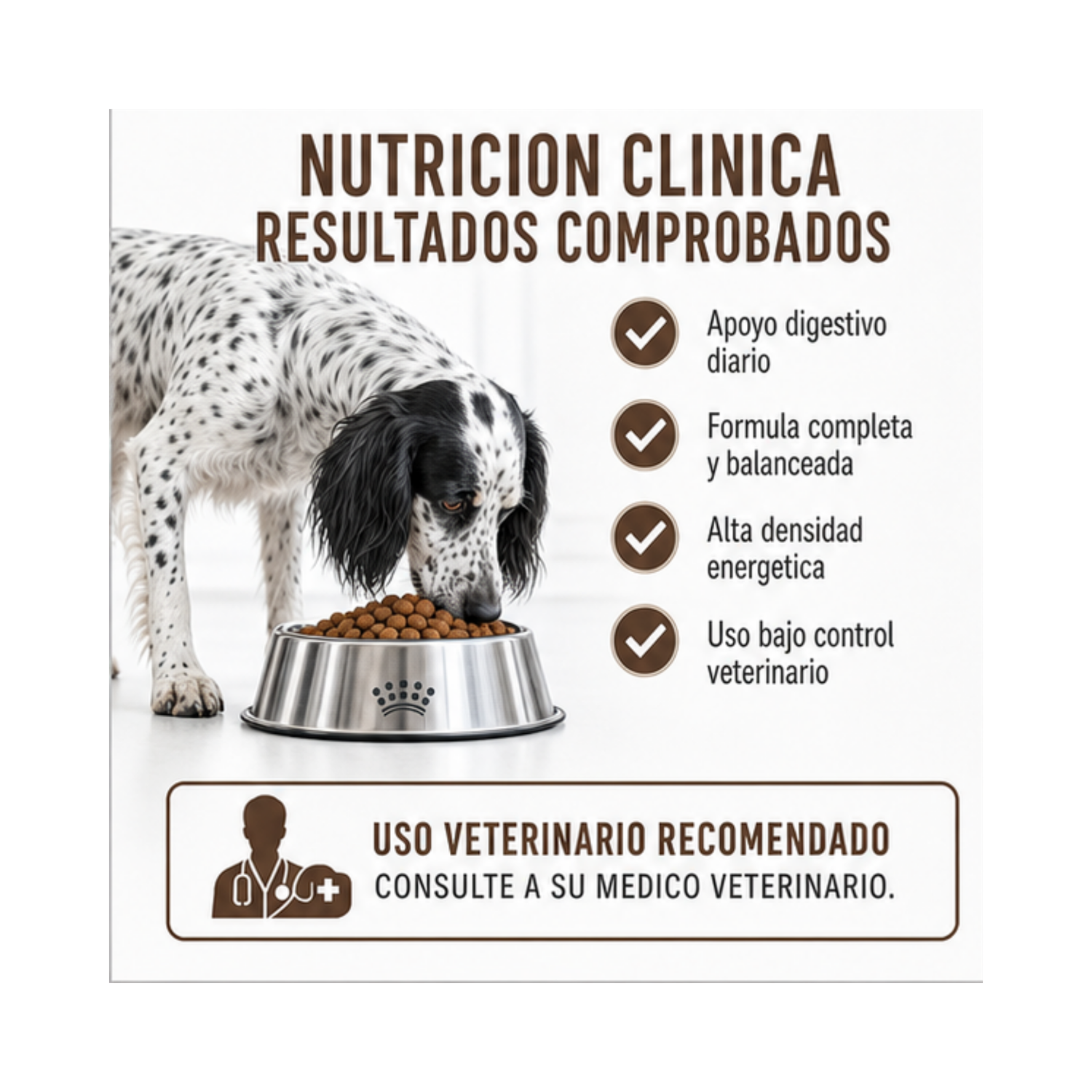 Royal Canin Gastrointestinal Saco 2 Kilo-2
